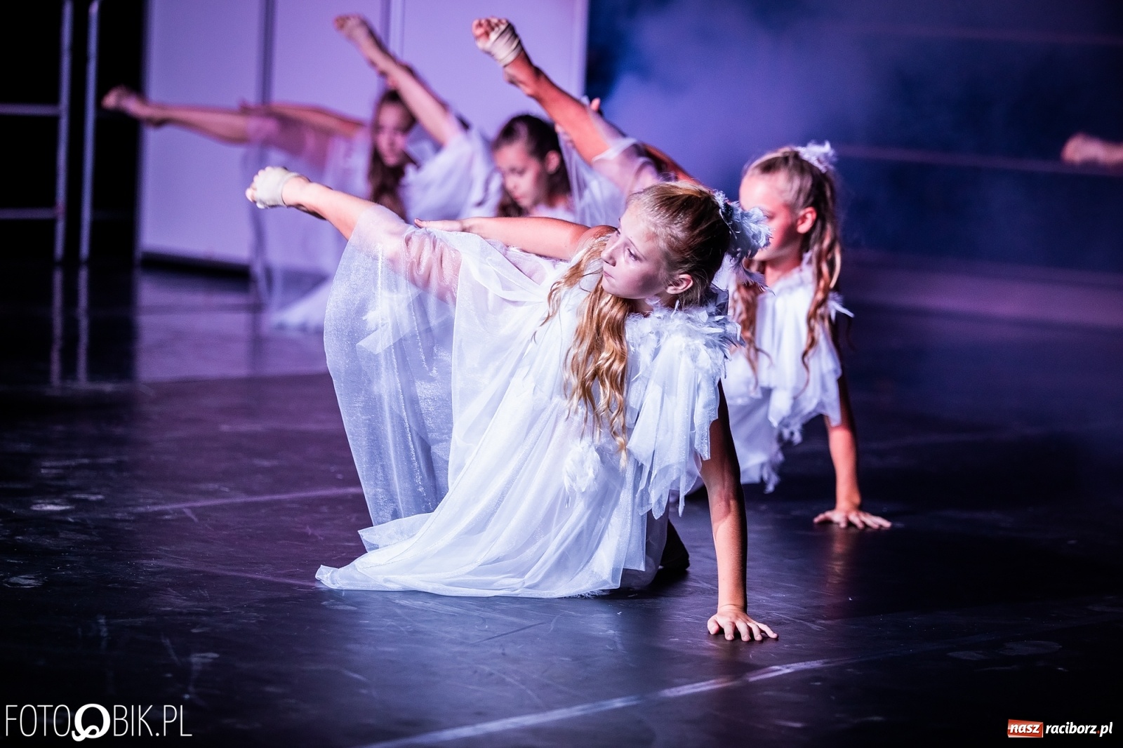 Zdjęcie w galerii na portalu naszraciborz.pl: Zaklęty łabędź zdobył Racibórz [FOTO]  wiadomości z regionu