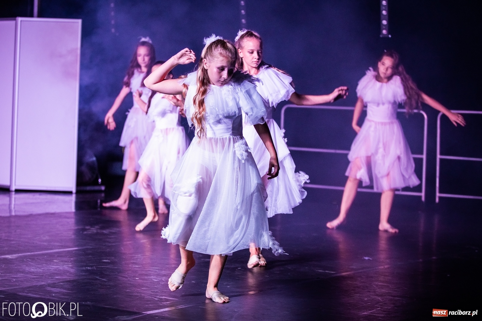 Zdjęcie w galerii na portalu naszraciborz.pl: Zaklęty łabędź zdobył Racibórz [FOTO]  wiadomości z regionu