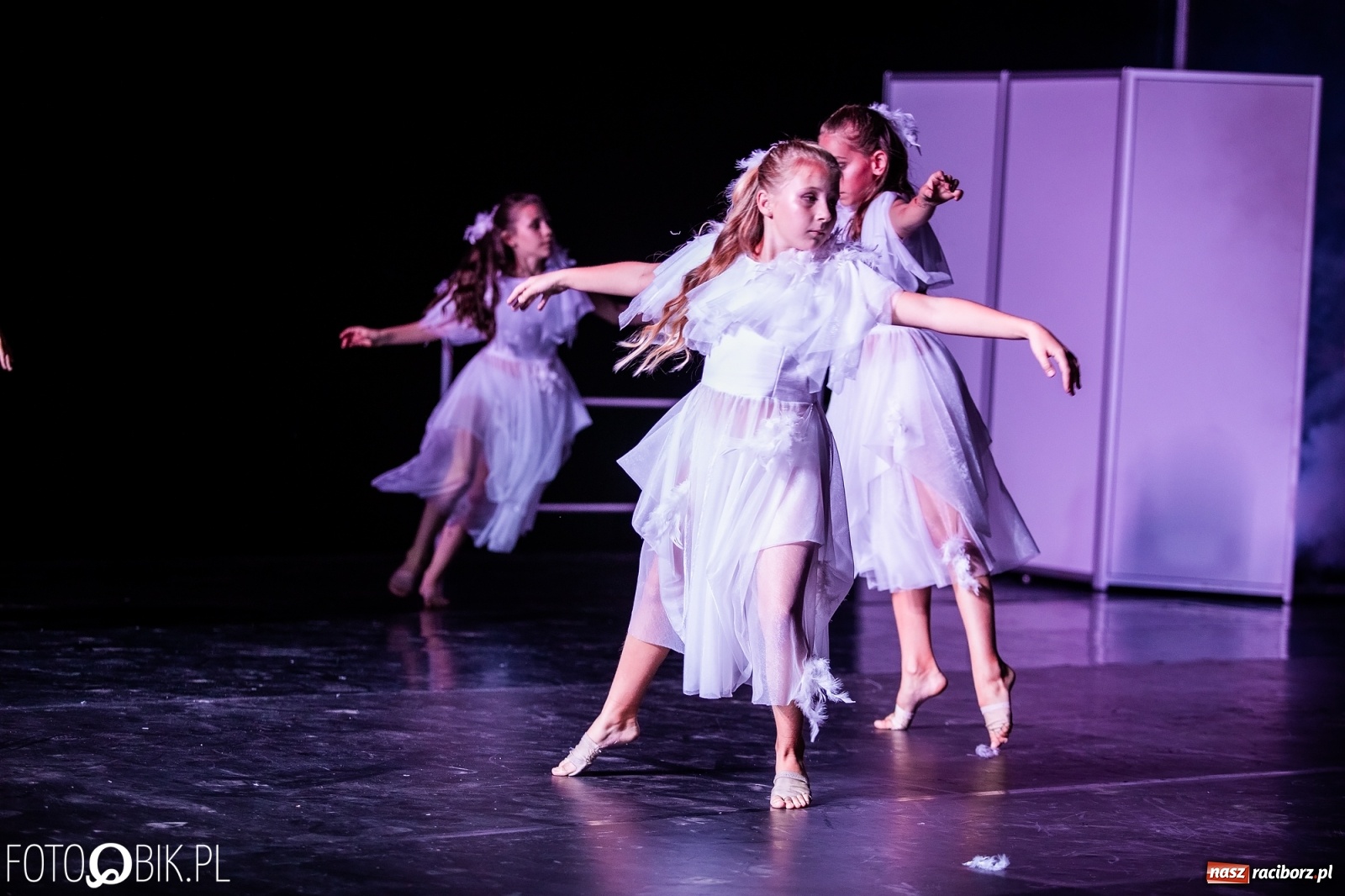 Zdjęcie w galerii na portalu naszraciborz.pl: Zaklęty łabędź zdobył Racibórz [FOTO]  wiadomości z regionu