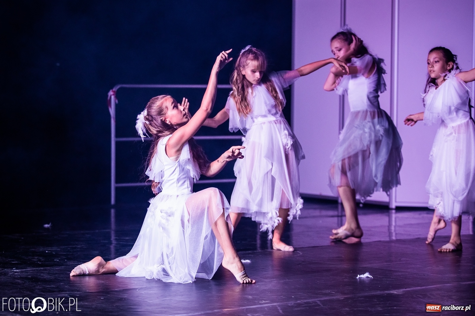 Zdjęcie w galerii na portalu naszraciborz.pl: Zaklęty łabędź zdobył Racibórz [FOTO]  wiadomości z regionu