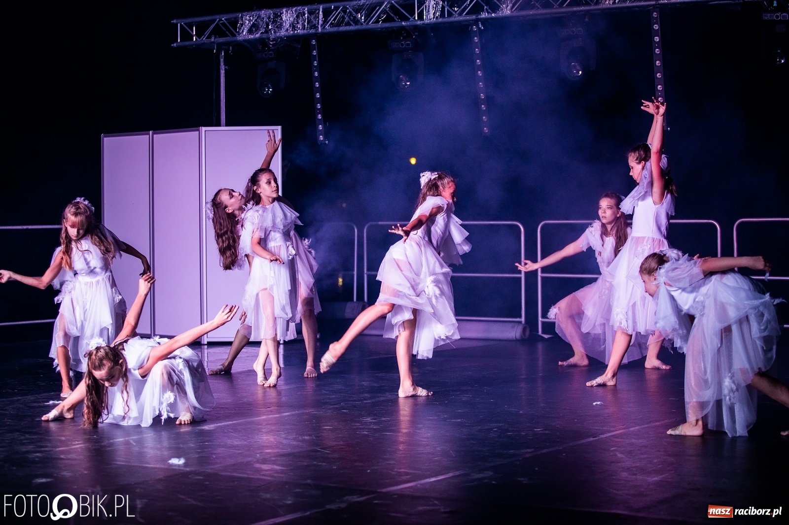 Zdjęcie w galerii na portalu naszraciborz.pl: Zaklęty łabędź zdobył Racibórz [FOTO]  wiadomości z regionu