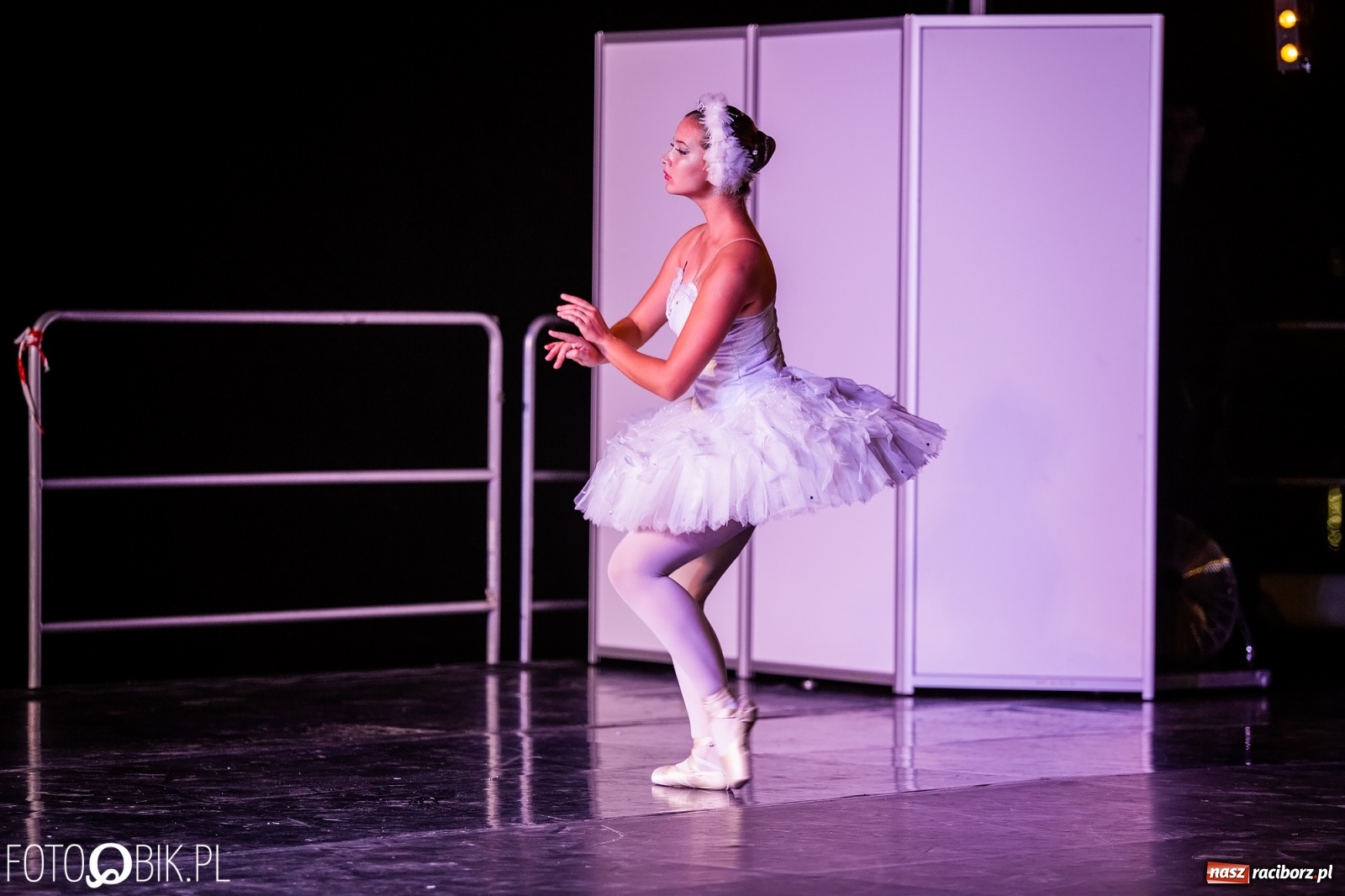 Zdjęcie w galerii na portalu naszraciborz.pl: Zaklęty łabędź zdobył Racibórz [FOTO]  wiadomości z regionu