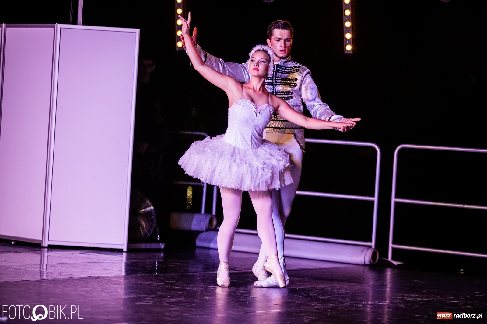 Zdjęcie w galerii na portalu naszraciborz.pl: Zaklęty łabędź zdobył Racibórz [FOTO]  wiadomości z regionu