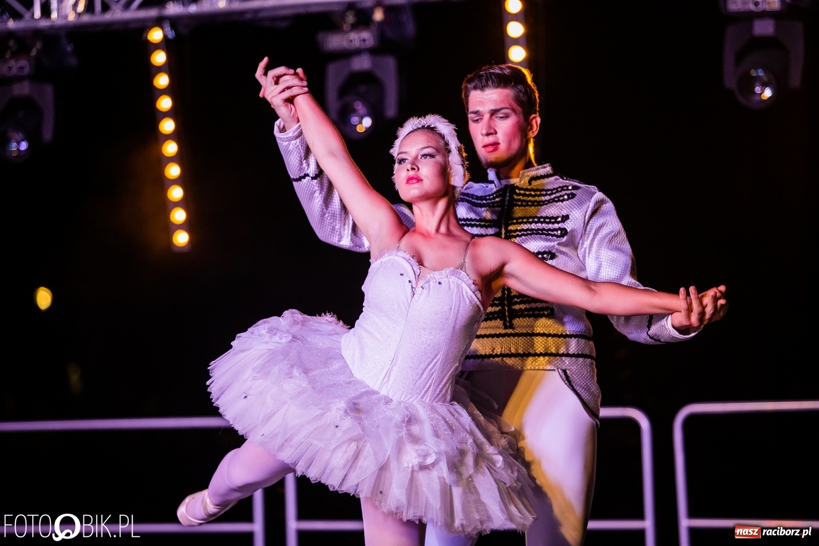 Zdjęcie w galerii na portalu naszraciborz.pl: Zaklęty łabędź zdobył Racibórz [FOTO]  wiadomości z regionu