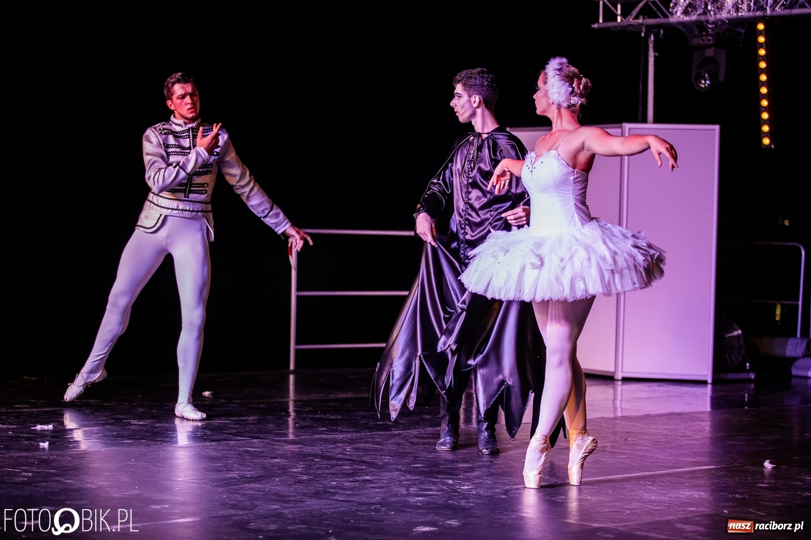 Zdjęcie w galerii na portalu naszraciborz.pl: Zaklęty łabędź zdobył Racibórz [FOTO]  wiadomości z regionu