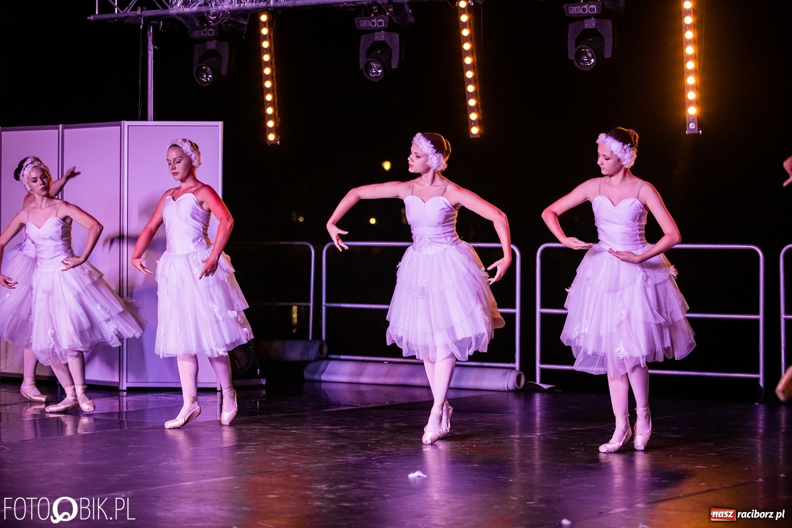 Zdjęcie w galerii na portalu naszraciborz.pl: Zaklęty łabędź zdobył Racibórz [FOTO]  wiadomości z regionu