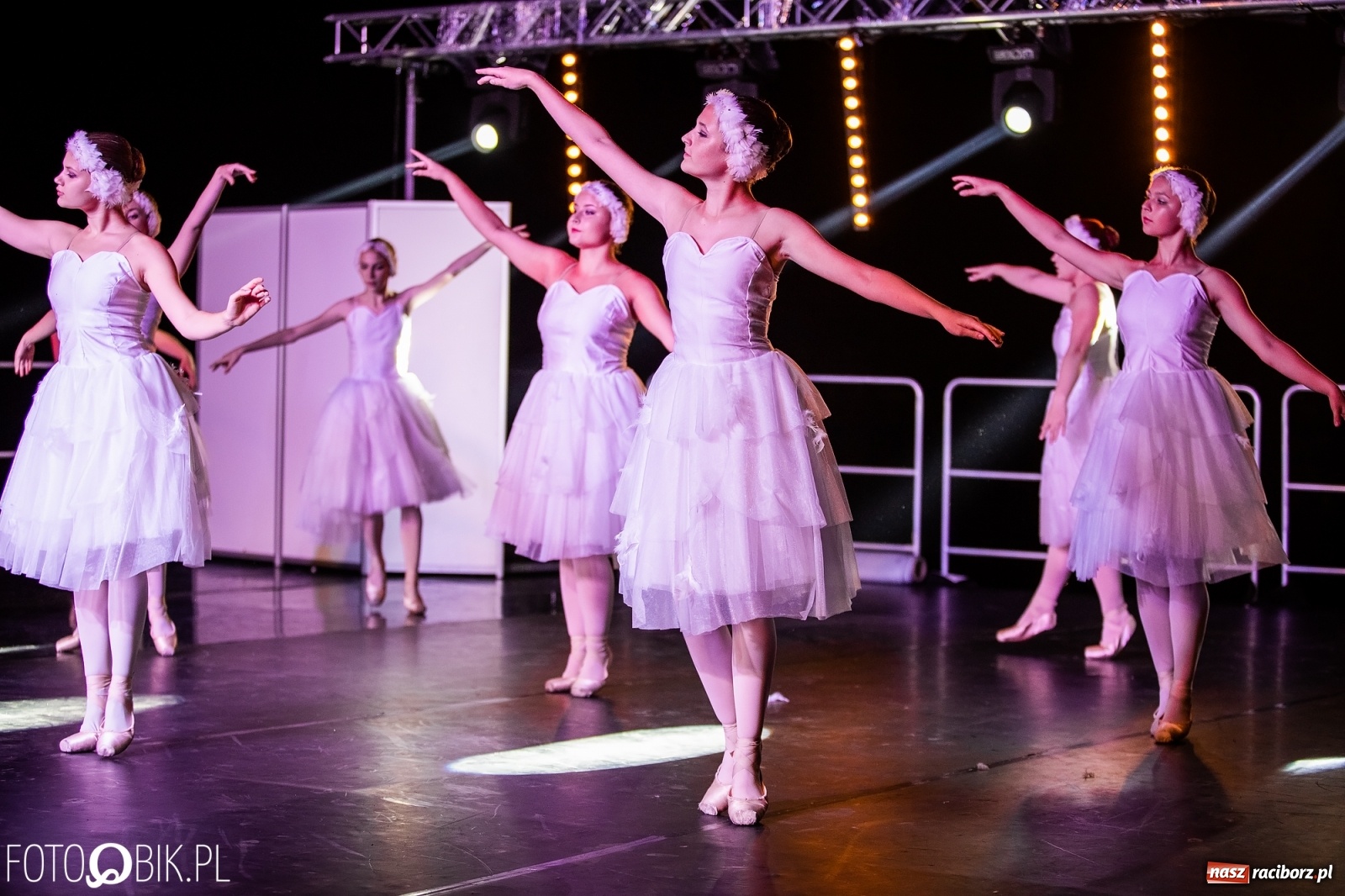 Zdjęcie w galerii na portalu naszraciborz.pl: Zaklęty łabędź zdobył Racibórz [FOTO]  wiadomości z regionu