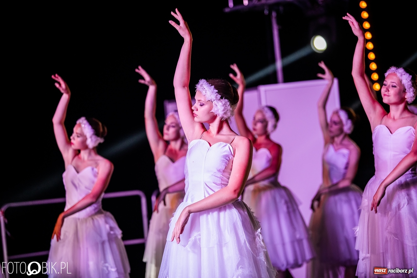 Zdjęcie w galerii na portalu naszraciborz.pl: Zaklęty łabędź zdobył Racibórz [FOTO]  wiadomości z regionu