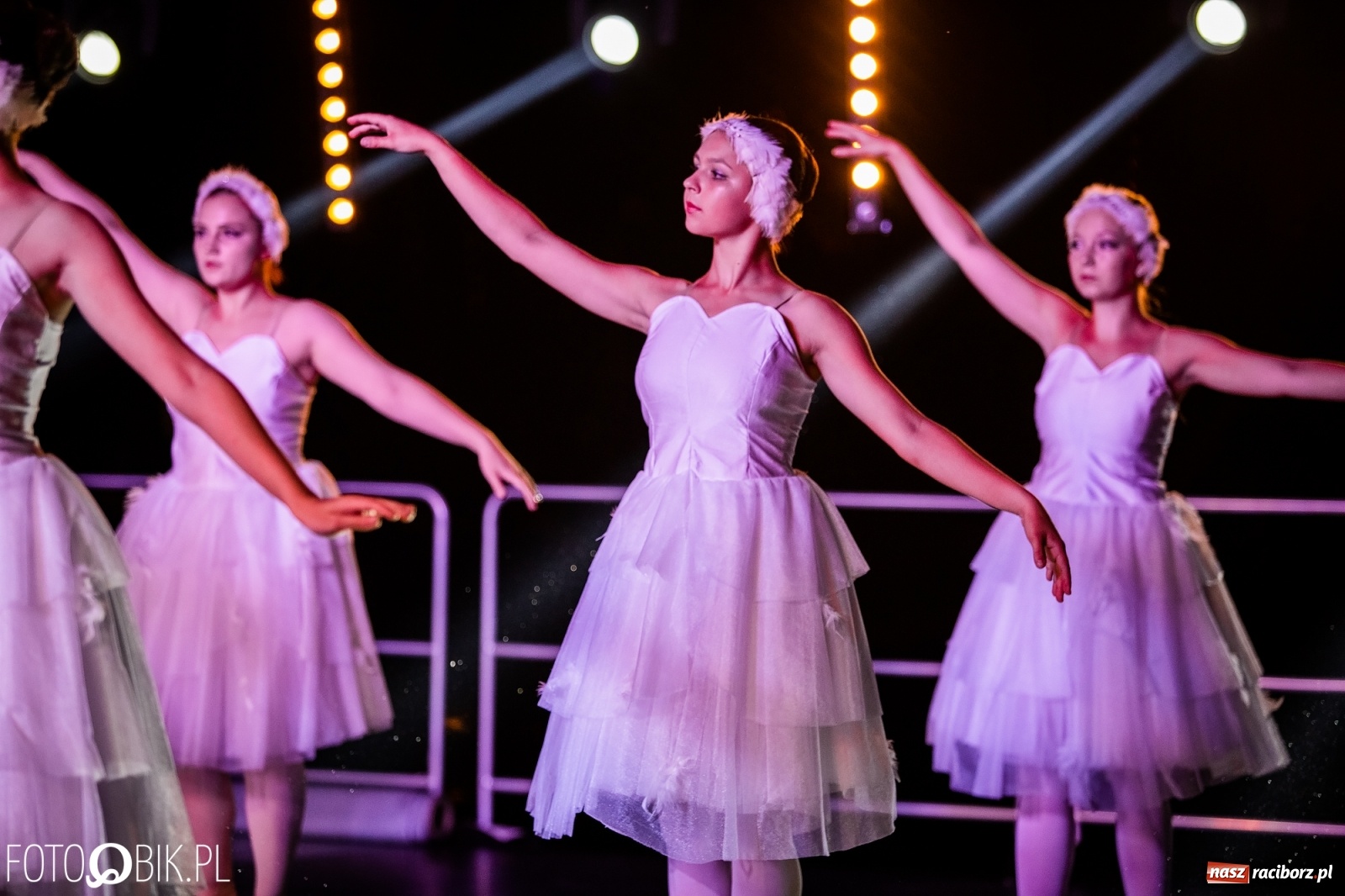 Zdjęcie w galerii na portalu naszraciborz.pl: Zaklęty łabędź zdobył Racibórz [FOTO]  wiadomości z regionu