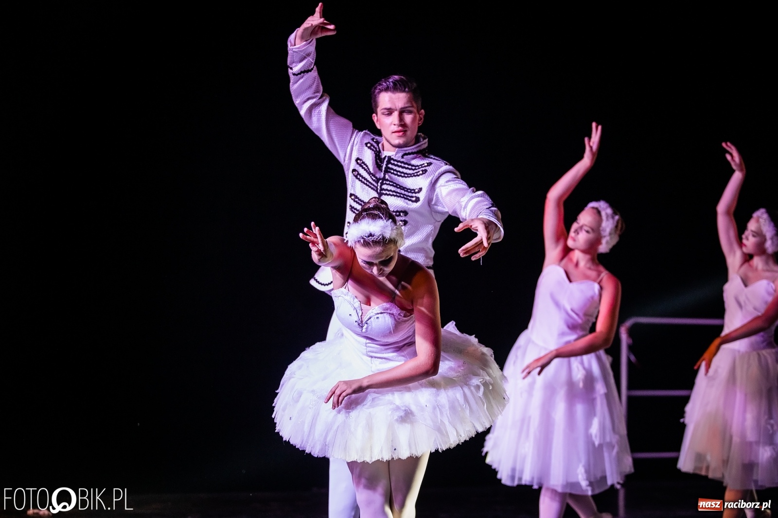 Zdjęcie w galerii na portalu naszraciborz.pl: Zaklęty łabędź zdobył Racibórz [FOTO]  wiadomości z regionu