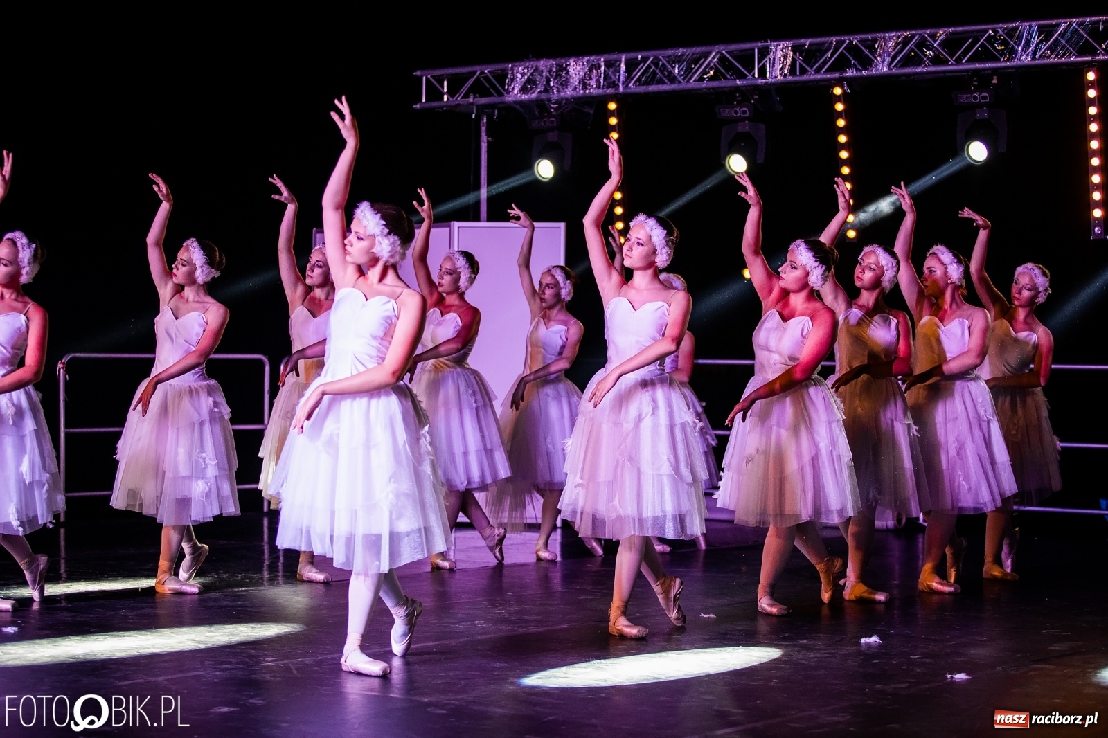 Zdjęcie w galerii na portalu naszraciborz.pl: Zaklęty łabędź zdobył Racibórz [FOTO]  wiadomości z regionu