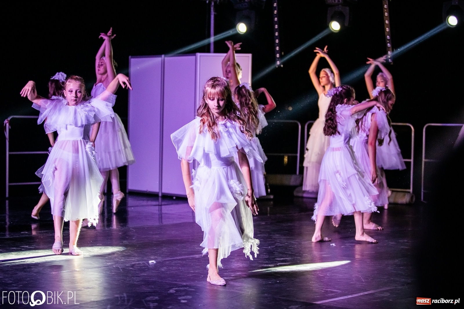 Zdjęcie w galerii na portalu naszraciborz.pl: Zaklęty łabędź zdobył Racibórz [FOTO]  wiadomości z regionu