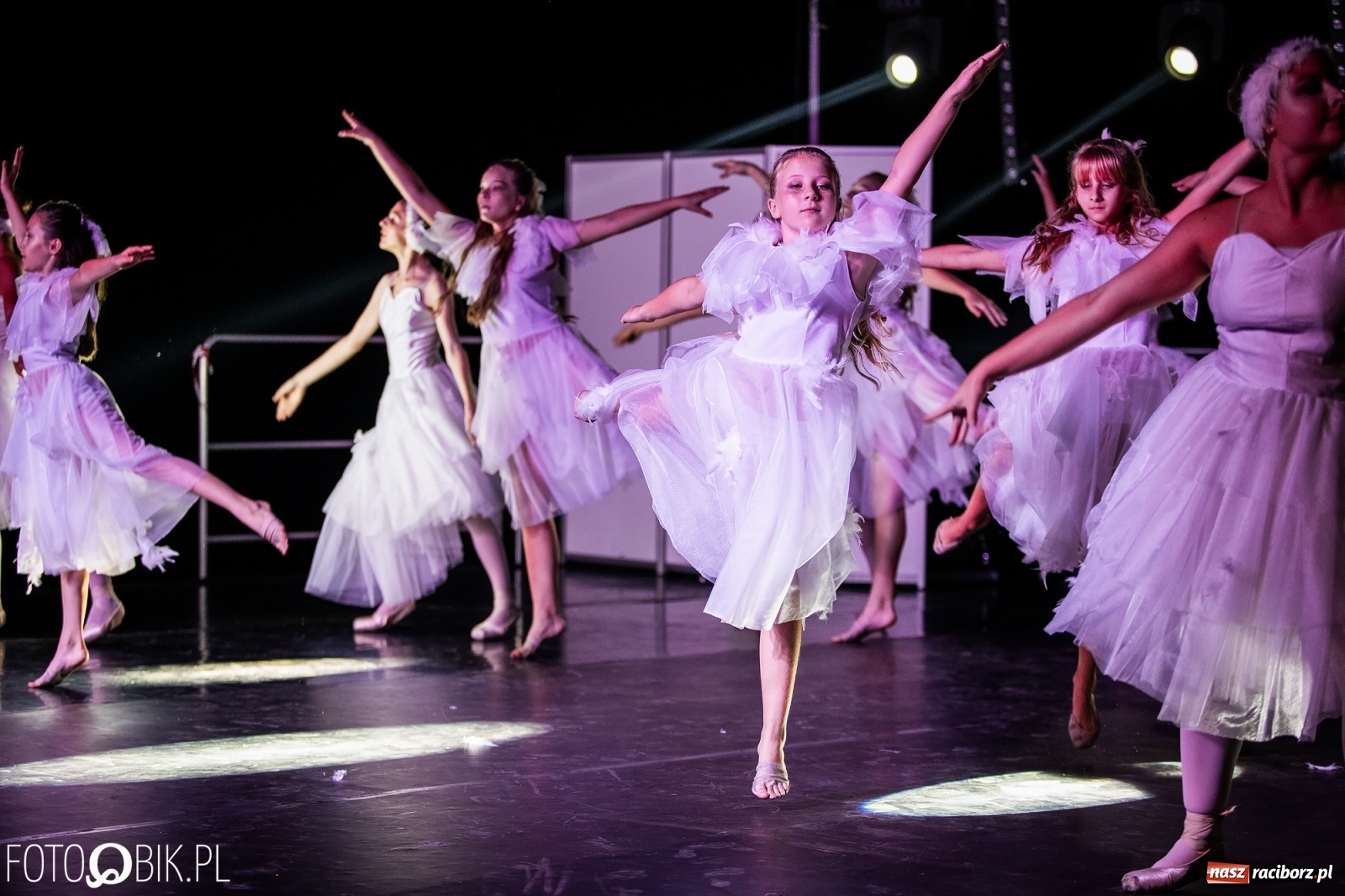 Zdjęcie w galerii na portalu naszraciborz.pl: Zaklęty łabędź zdobył Racibórz [FOTO]  wiadomości z regionu