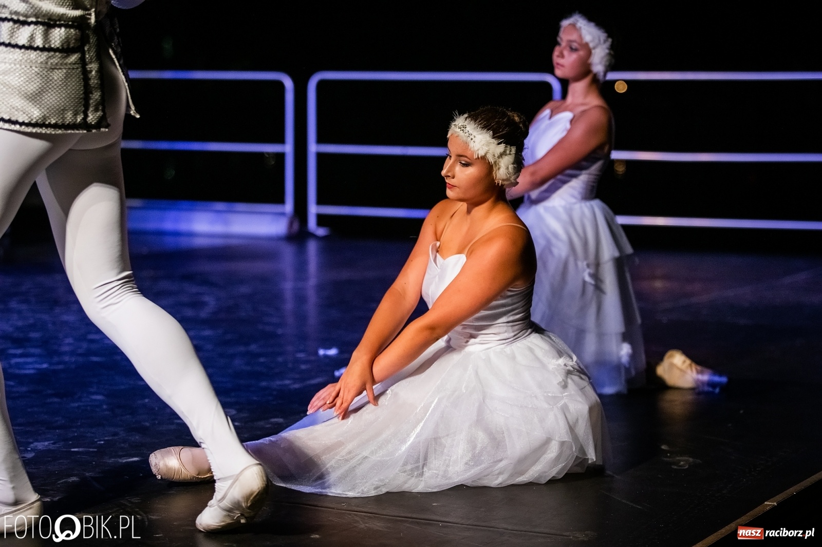 Zdjęcie w galerii na portalu naszraciborz.pl: Zaklęty łabędź zdobył Racibórz [FOTO]  wiadomości z regionu