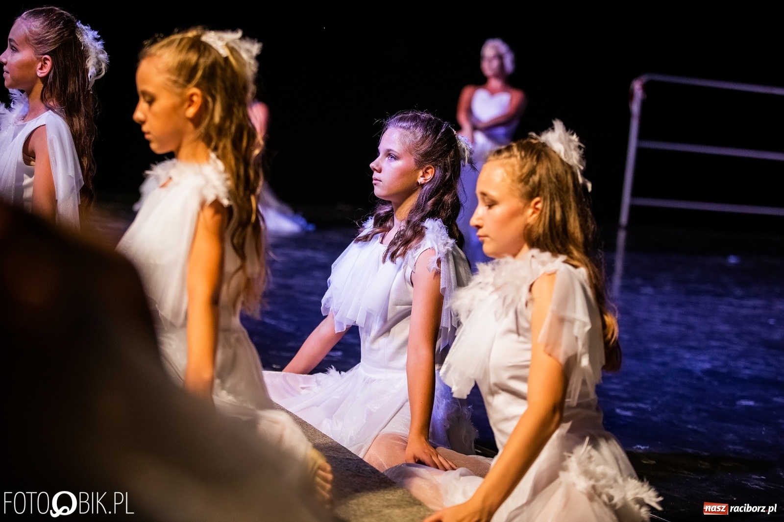 Zdjęcie w galerii na portalu naszraciborz.pl: Zaklęty łabędź zdobył Racibórz [FOTO]  wiadomości z regionu