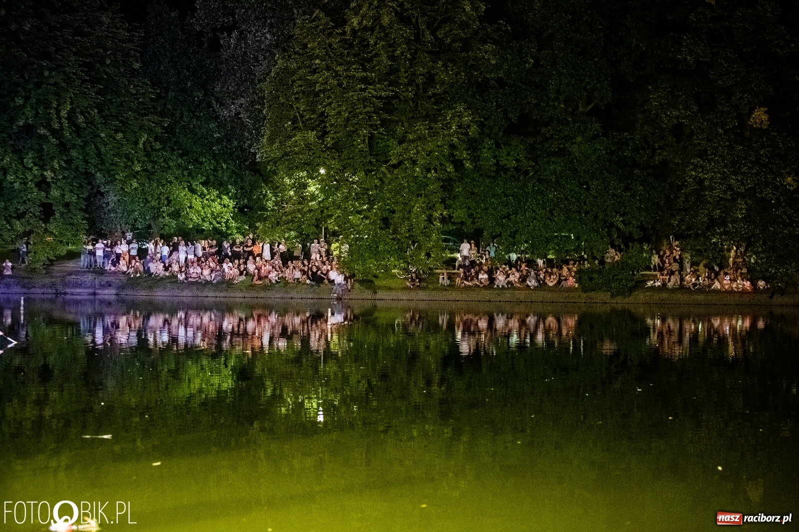 Zdjęcie w galerii na portalu naszraciborz.pl: Zaklęty łabędź zdobył Racibórz [FOTO]  wiadomości z regionu