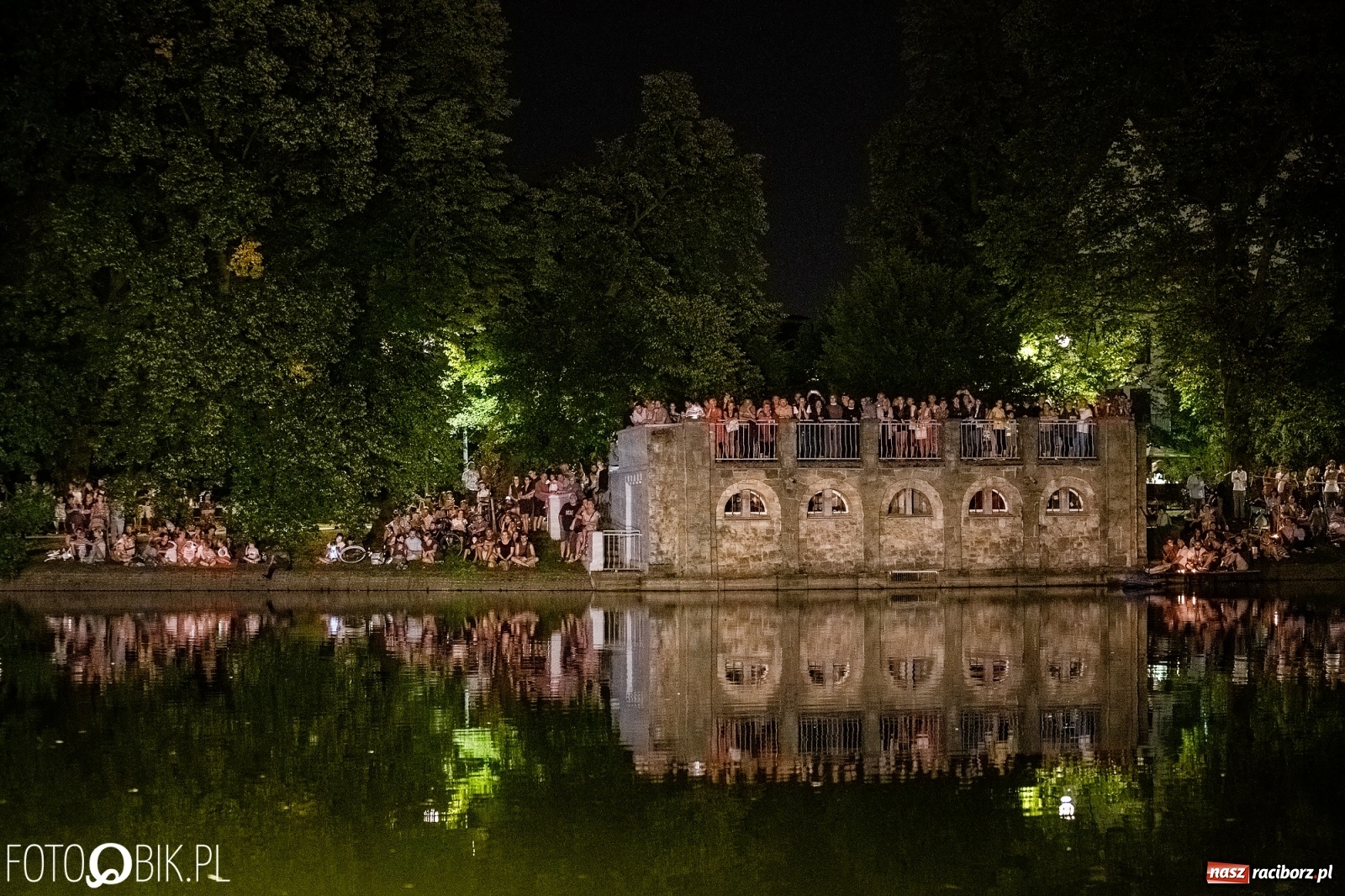 Zdjęcie w galerii na portalu naszraciborz.pl: Zaklęty łabędź zdobył Racibórz [FOTO]  wiadomości z regionu