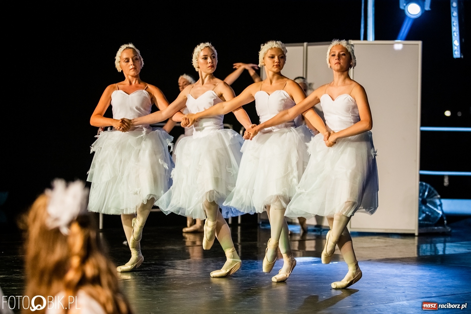 Zdjęcie w galerii na portalu naszraciborz.pl: Zaklęty łabędź zdobył Racibórz [FOTO]  wiadomości z regionu