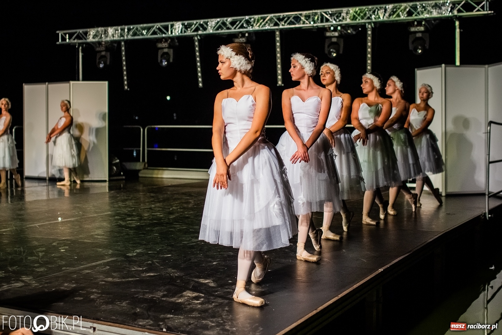 Zdjęcie w galerii na portalu naszraciborz.pl: Zaklęty łabędź zdobył Racibórz [FOTO]  wiadomości z regionu