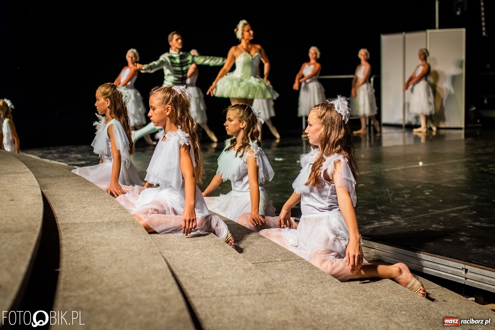 Zdjęcie w galerii na portalu naszraciborz.pl: Zaklęty łabędź zdobył Racibórz [FOTO]  wiadomości z regionu