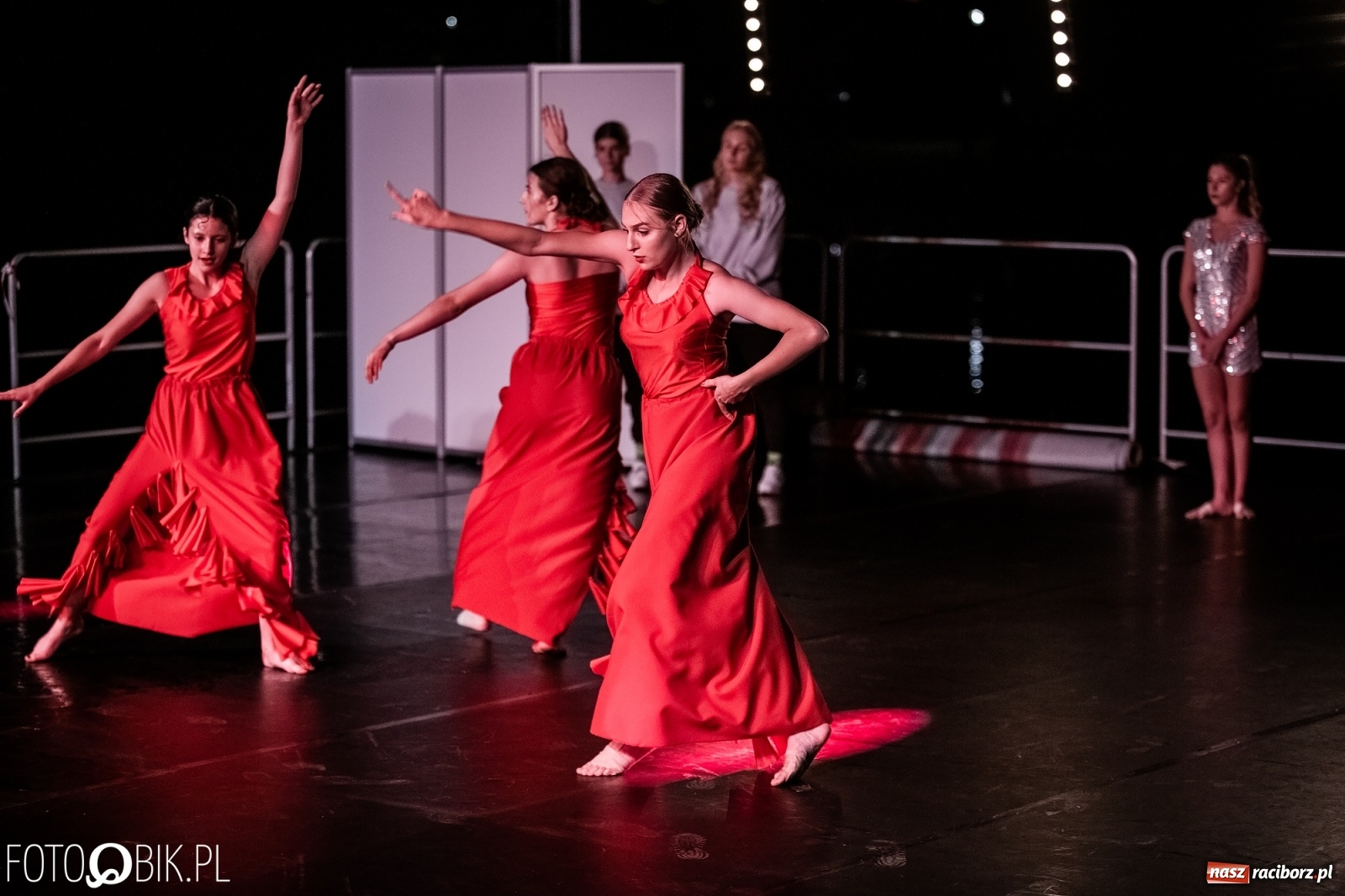 Zdjęcie w galerii na portalu naszraciborz.pl: Zaklęty łabędź zdobył Racibórz [FOTO]  wiadomości z regionu