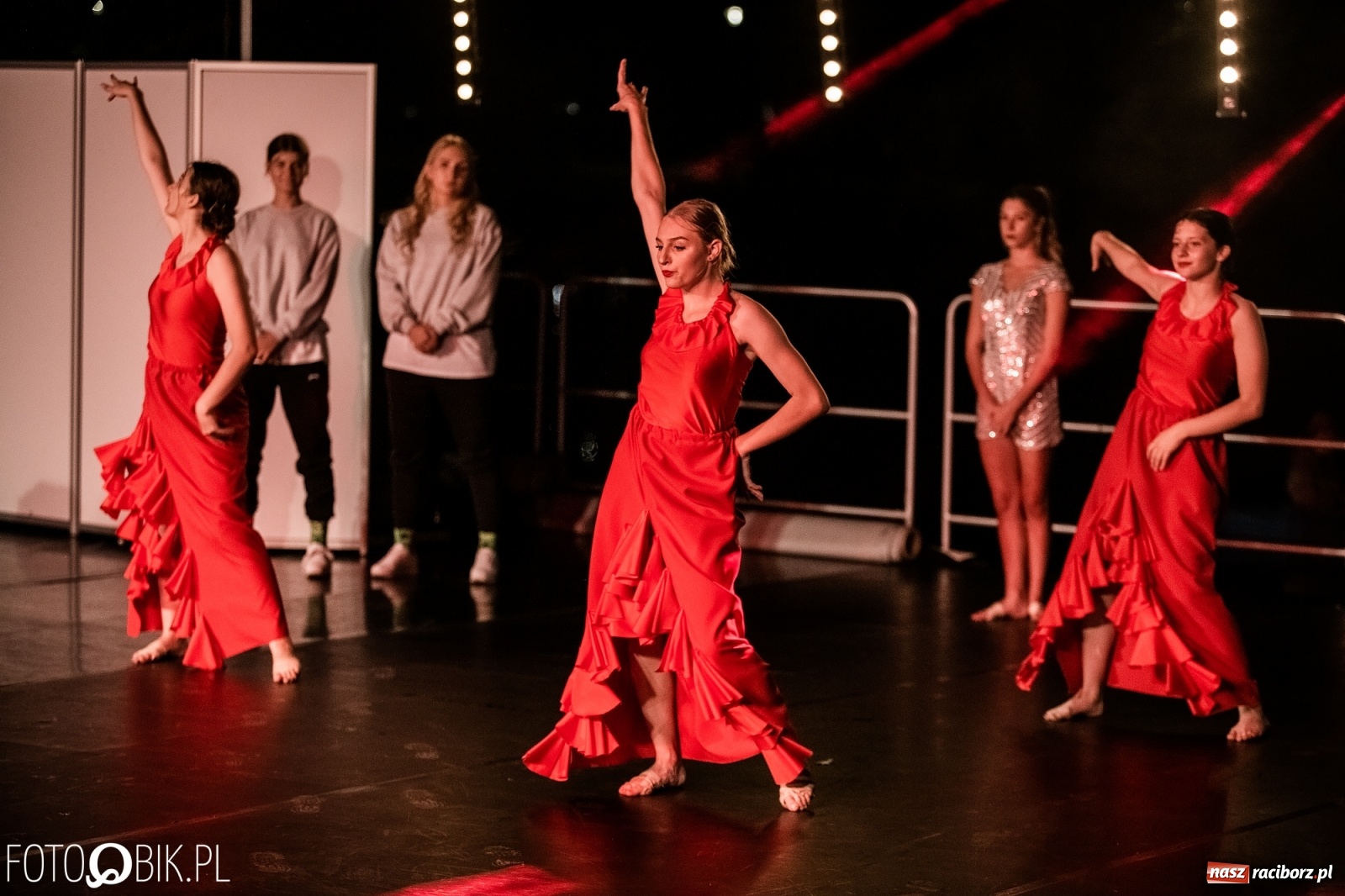 Zdjęcie w galerii na portalu naszraciborz.pl: Zaklęty łabędź zdobył Racibórz [FOTO]  wiadomości z regionu