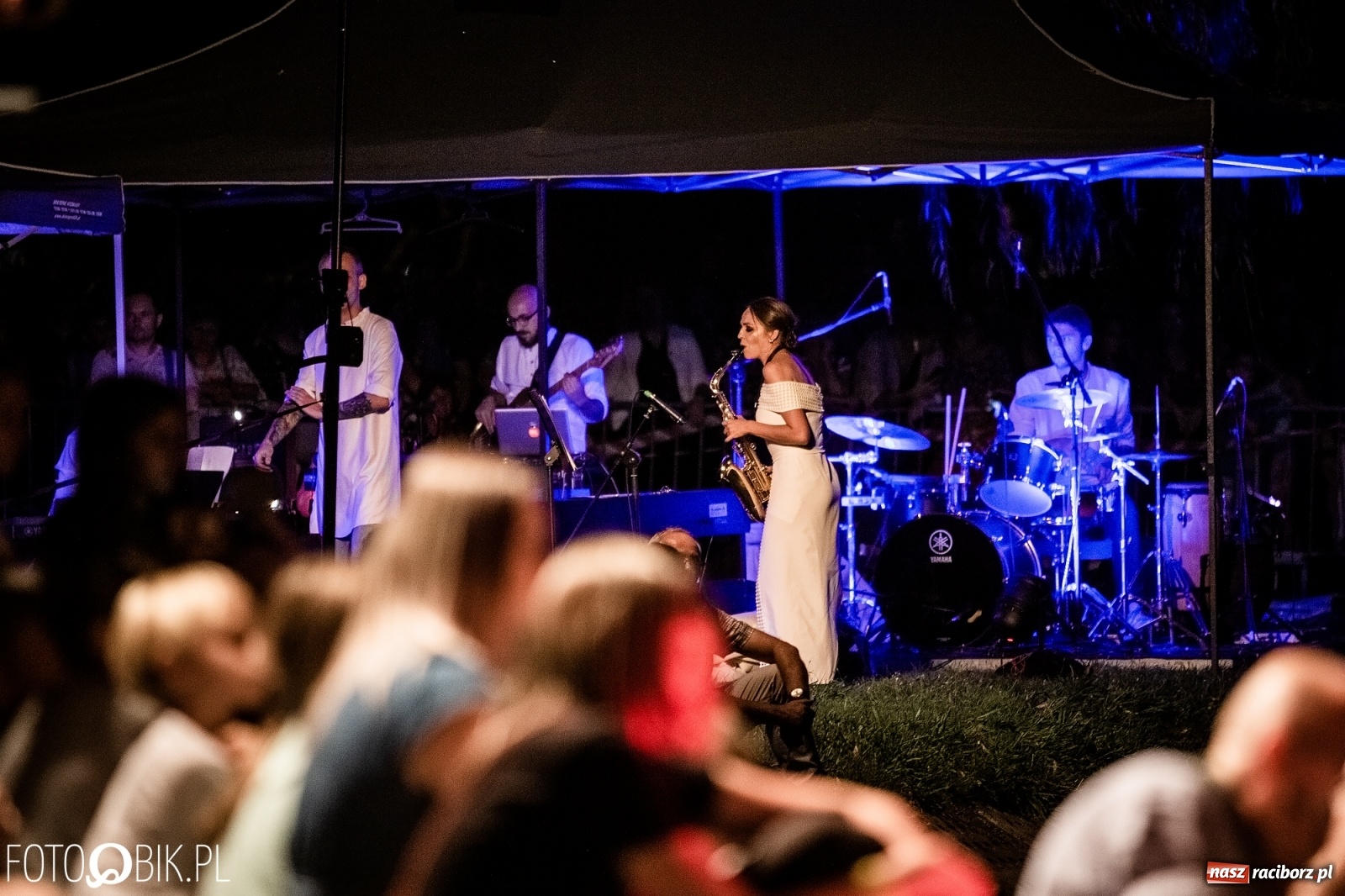 Zdjęcie w galerii na portalu naszraciborz.pl: Zaklęty łabędź zdobył Racibórz [FOTO]  wiadomości z regionu