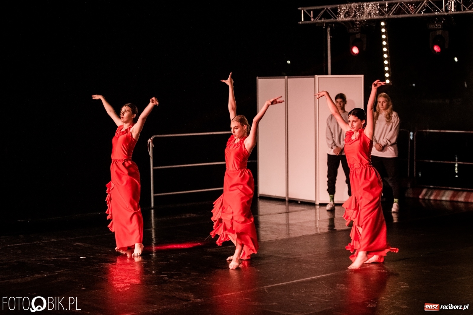 Zdjęcie w galerii na portalu naszraciborz.pl: Zaklęty łabędź zdobył Racibórz [FOTO]  wiadomości z regionu