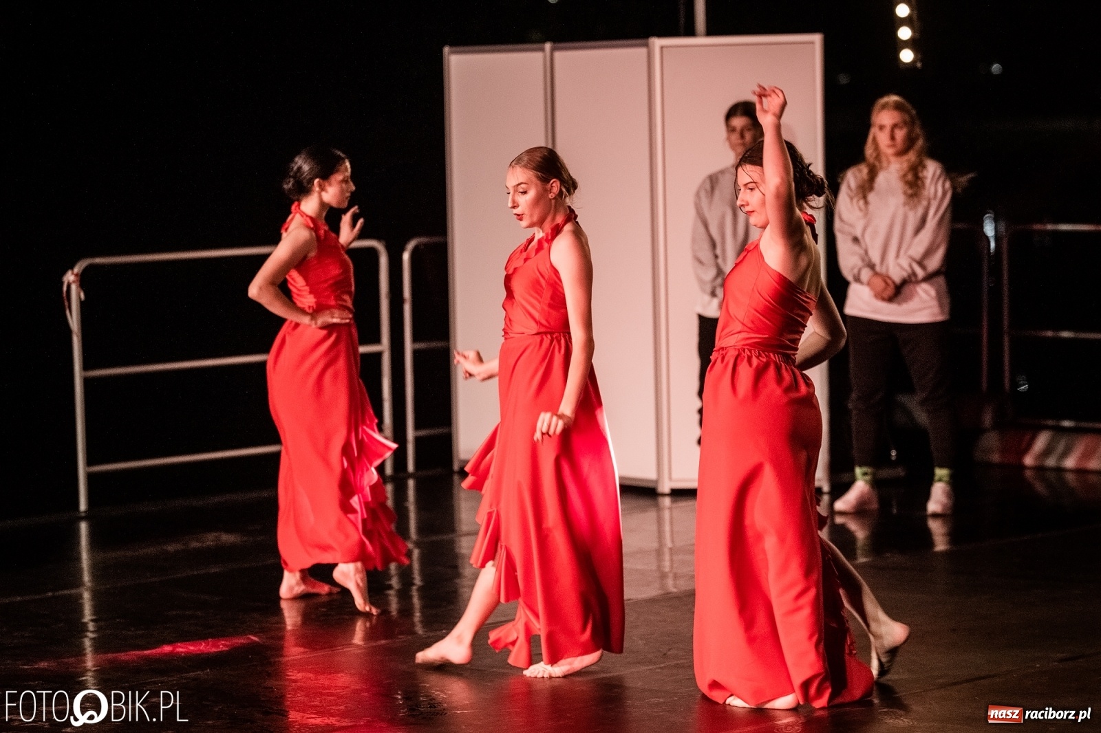 Zdjęcie w galerii na portalu naszraciborz.pl: Zaklęty łabędź zdobył Racibórz [FOTO]  wiadomości z regionu