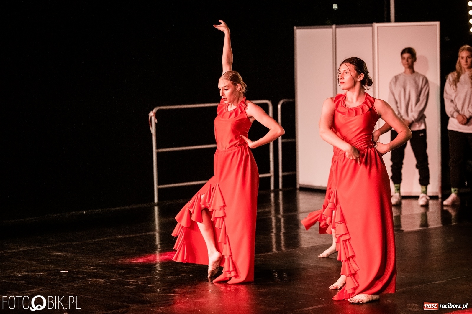 Zdjęcie w galerii na portalu naszraciborz.pl: Zaklęty łabędź zdobył Racibórz [FOTO]  wiadomości z regionu