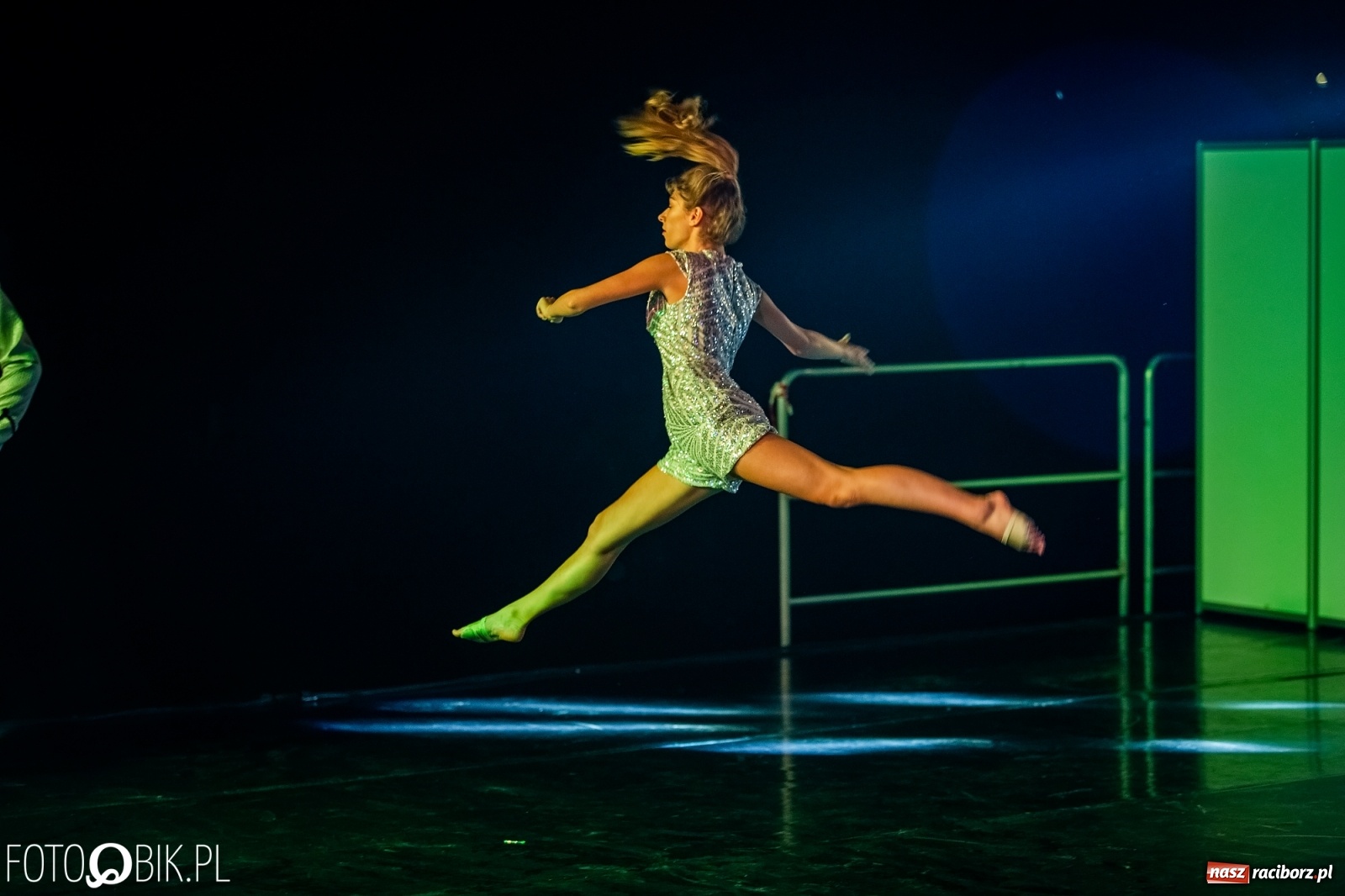 Zdjęcie w galerii na portalu naszraciborz.pl: Zaklęty łabędź zdobył Racibórz [FOTO]  wiadomości z regionu