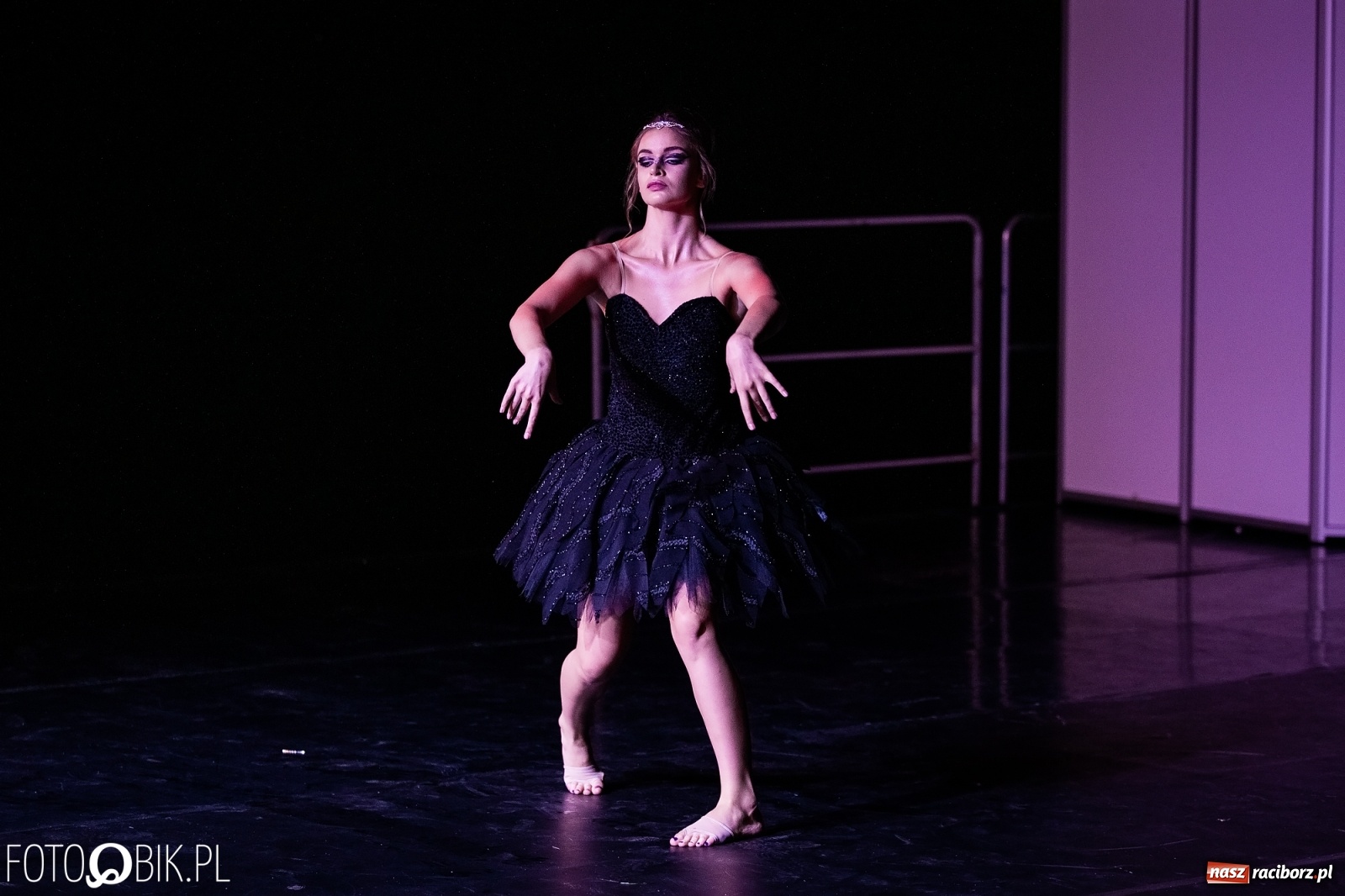 Zdjęcie w galerii na portalu naszraciborz.pl: Zaklęty łabędź zdobył Racibórz [FOTO]  wiadomości z regionu