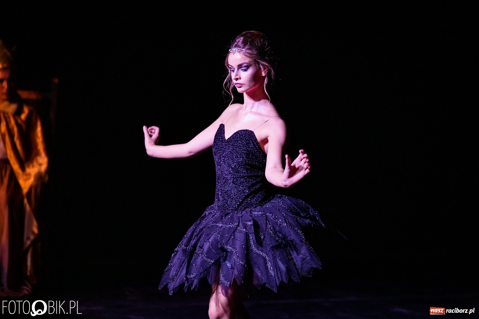 Zdjęcie w galerii na portalu naszraciborz.pl: Zaklęty łabędź zdobył Racibórz [FOTO]  wiadomości z regionu