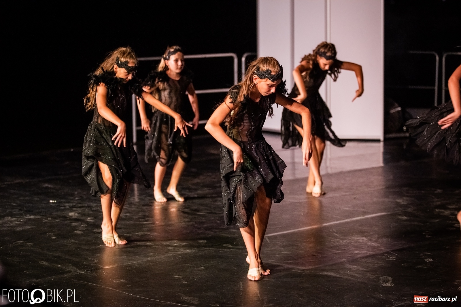 Zdjęcie w galerii na portalu naszraciborz.pl: Zaklęty łabędź zdobył Racibórz [FOTO]  wiadomości z regionu