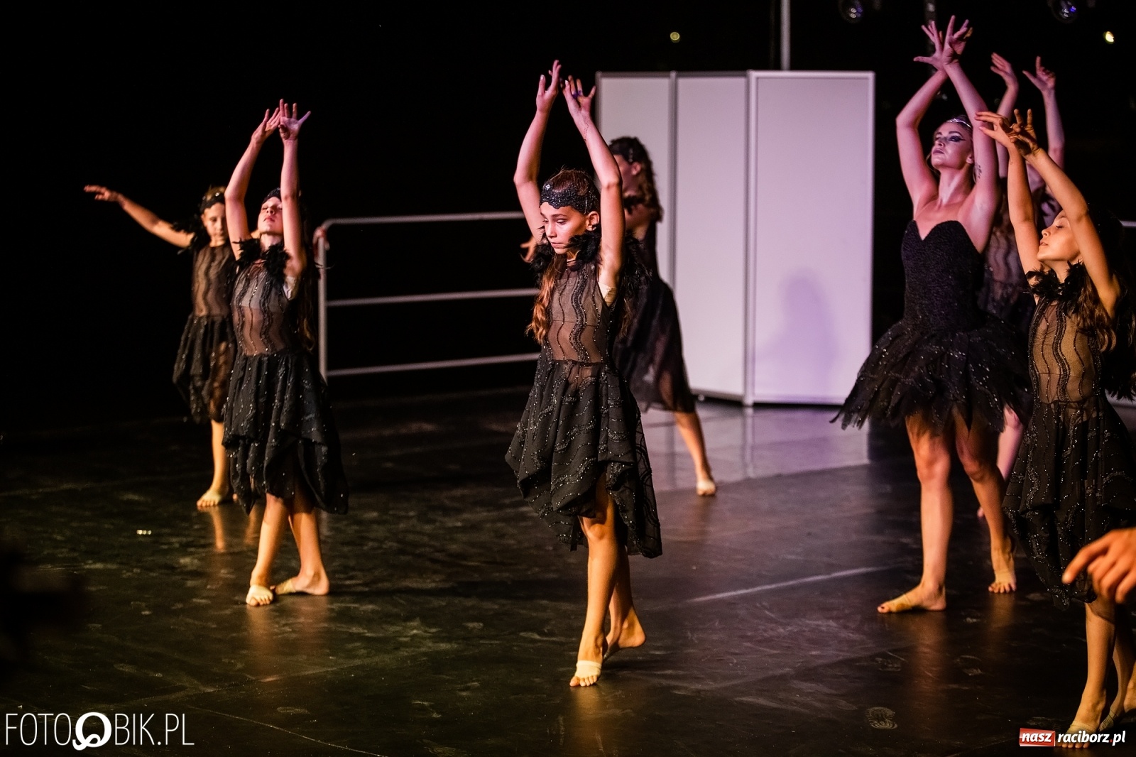 Zdjęcie w galerii na portalu naszraciborz.pl: Zaklęty łabędź zdobył Racibórz [FOTO]  wiadomości z regionu