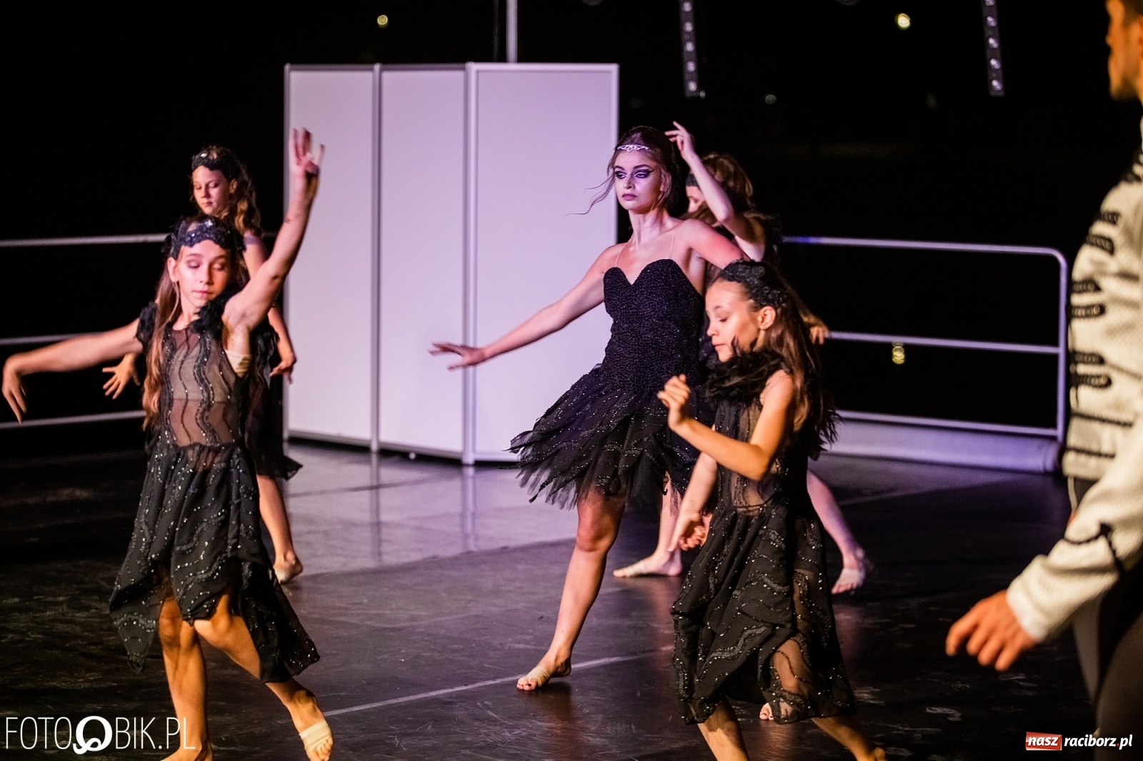 Zdjęcie w galerii na portalu naszraciborz.pl: Zaklęty łabędź zdobył Racibórz [FOTO]  wiadomości z regionu