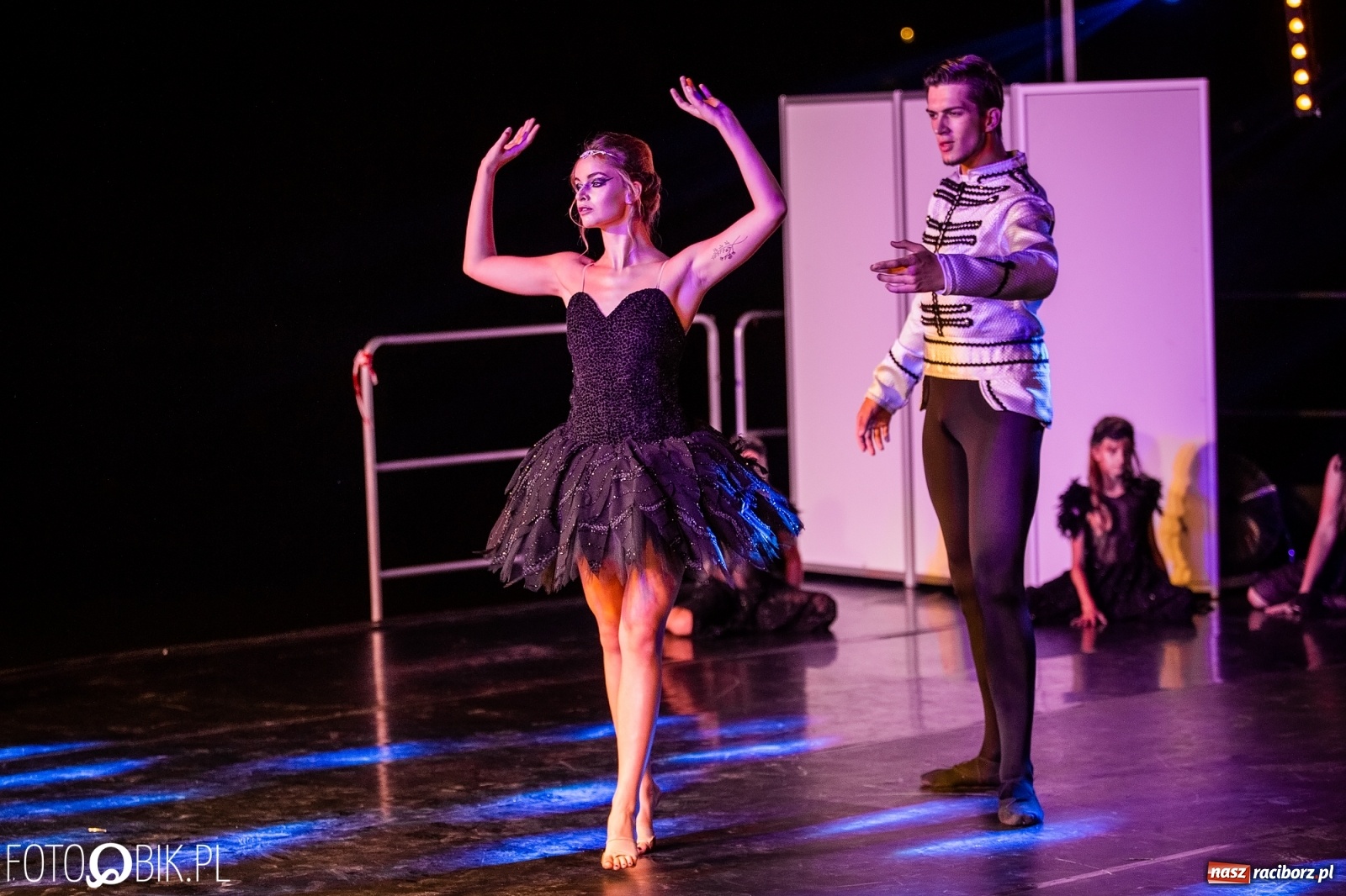 Zdjęcie w galerii na portalu naszraciborz.pl: Zaklęty łabędź zdobył Racibórz [FOTO]  wiadomości z regionu