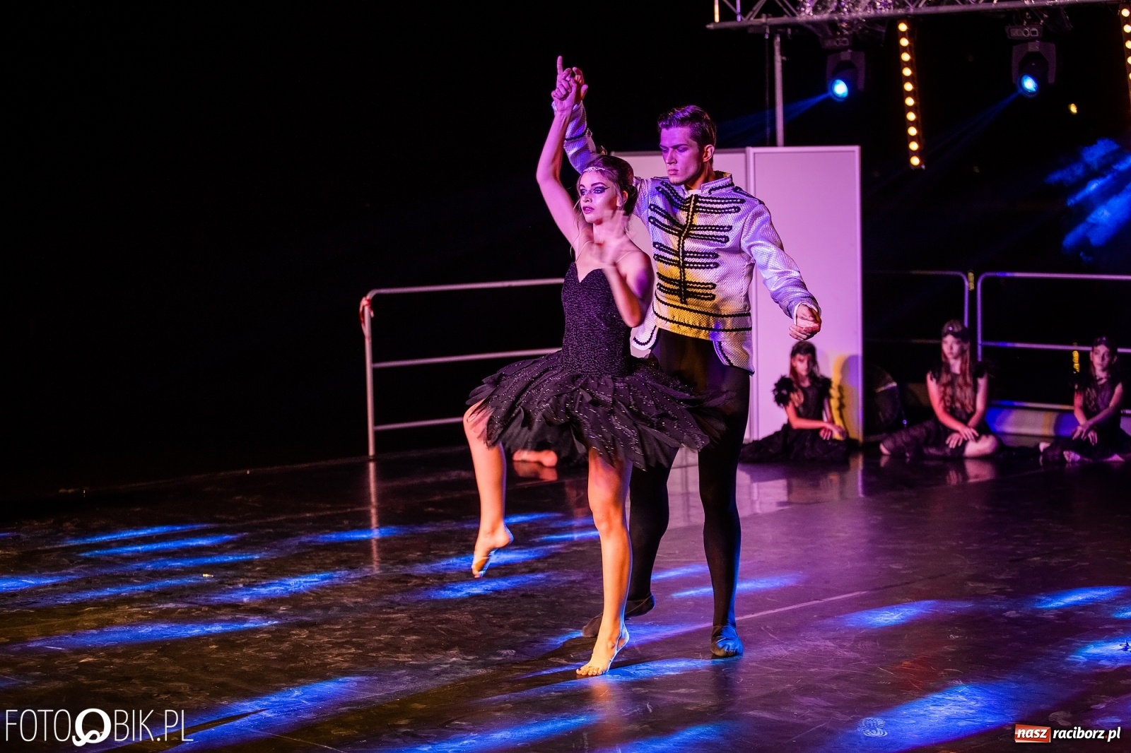 Zdjęcie w galerii na portalu naszraciborz.pl: Zaklęty łabędź zdobył Racibórz [FOTO]  wiadomości z regionu