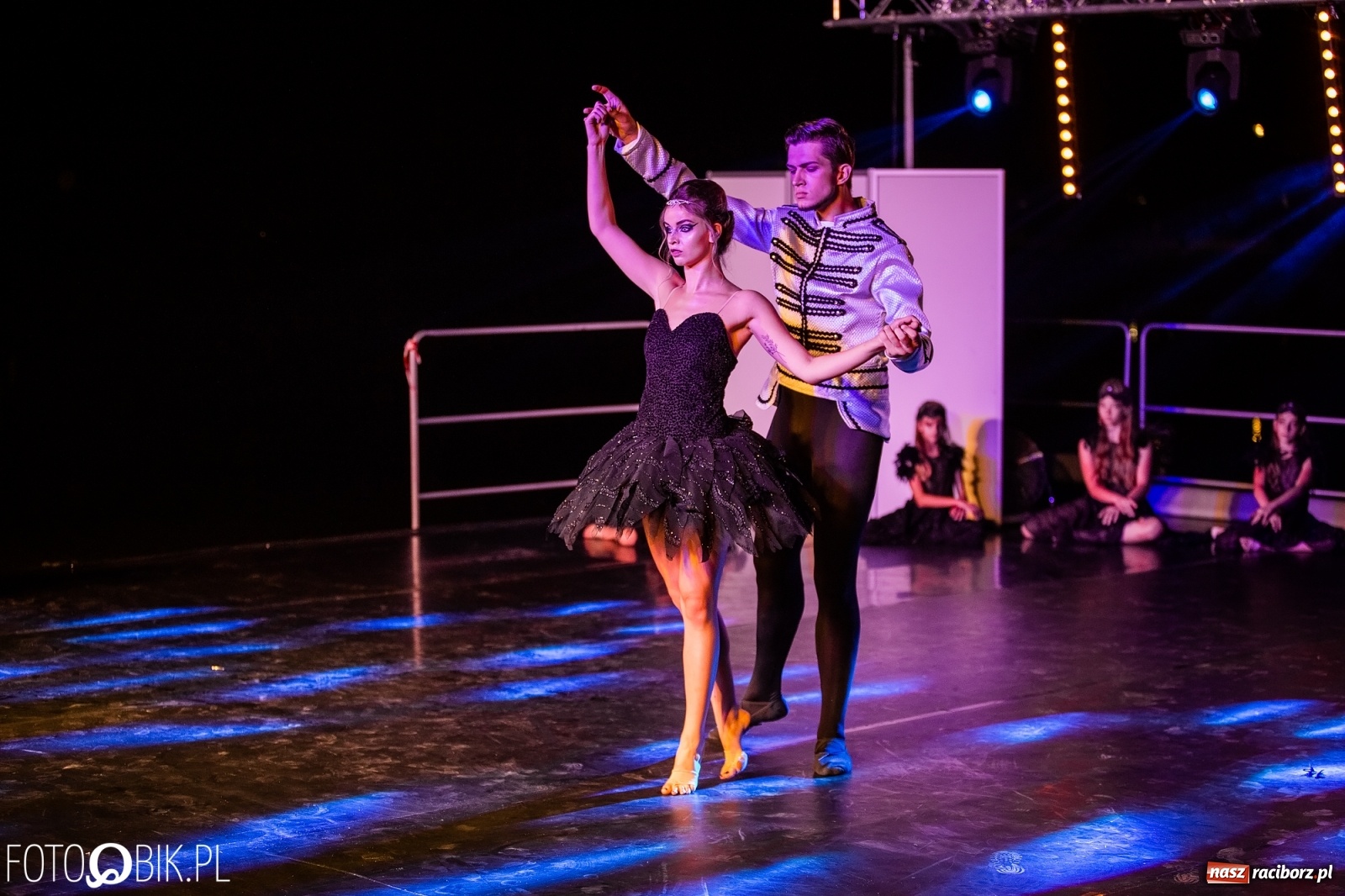 Zdjęcie w galerii na portalu naszraciborz.pl: Zaklęty łabędź zdobył Racibórz [FOTO]  wiadomości z regionu