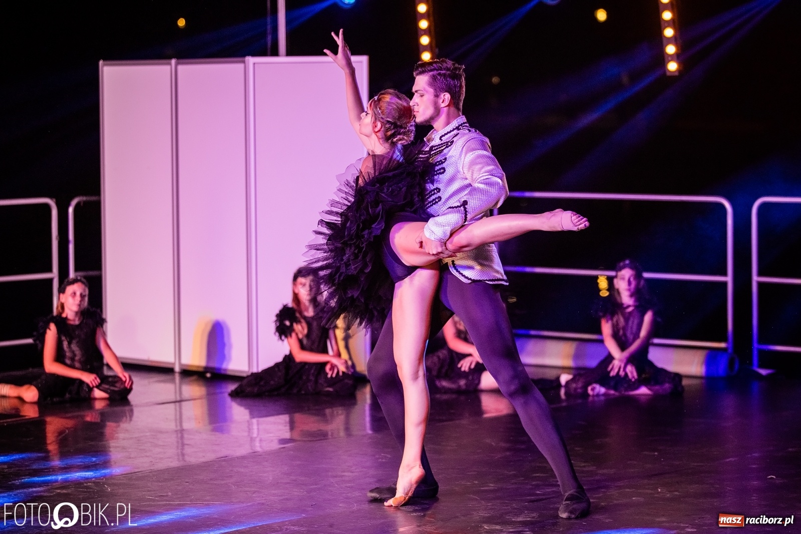 Zdjęcie w galerii na portalu naszraciborz.pl: Zaklęty łabędź zdobył Racibórz [FOTO]  wiadomości z regionu