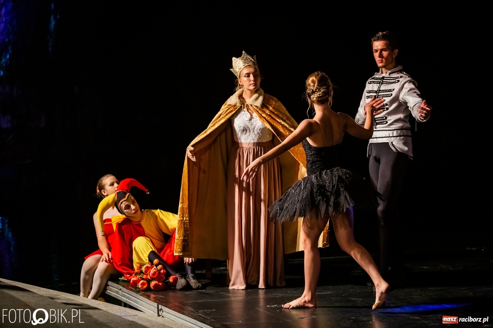 Zdjęcie w galerii na portalu naszraciborz.pl: Zaklęty łabędź zdobył Racibórz [FOTO]  wiadomości z regionu