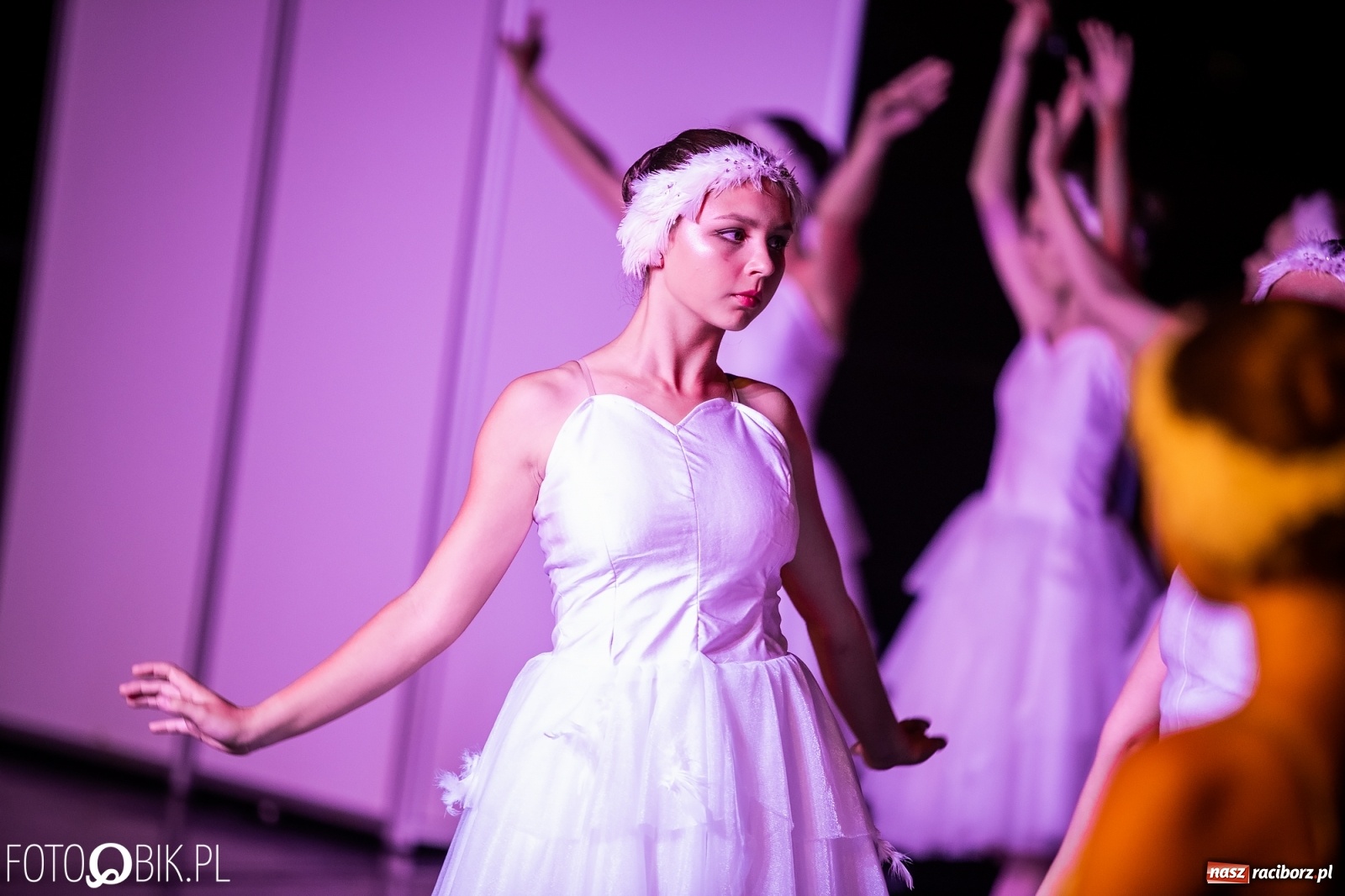 Zdjęcie w galerii na portalu naszraciborz.pl: Zaklęty łabędź zdobył Racibórz [FOTO]  wiadomości z regionu