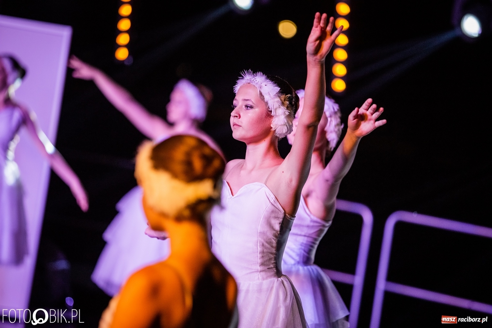 Zdjęcie w galerii na portalu naszraciborz.pl: Zaklęty łabędź zdobył Racibórz [FOTO]  wiadomości z regionu