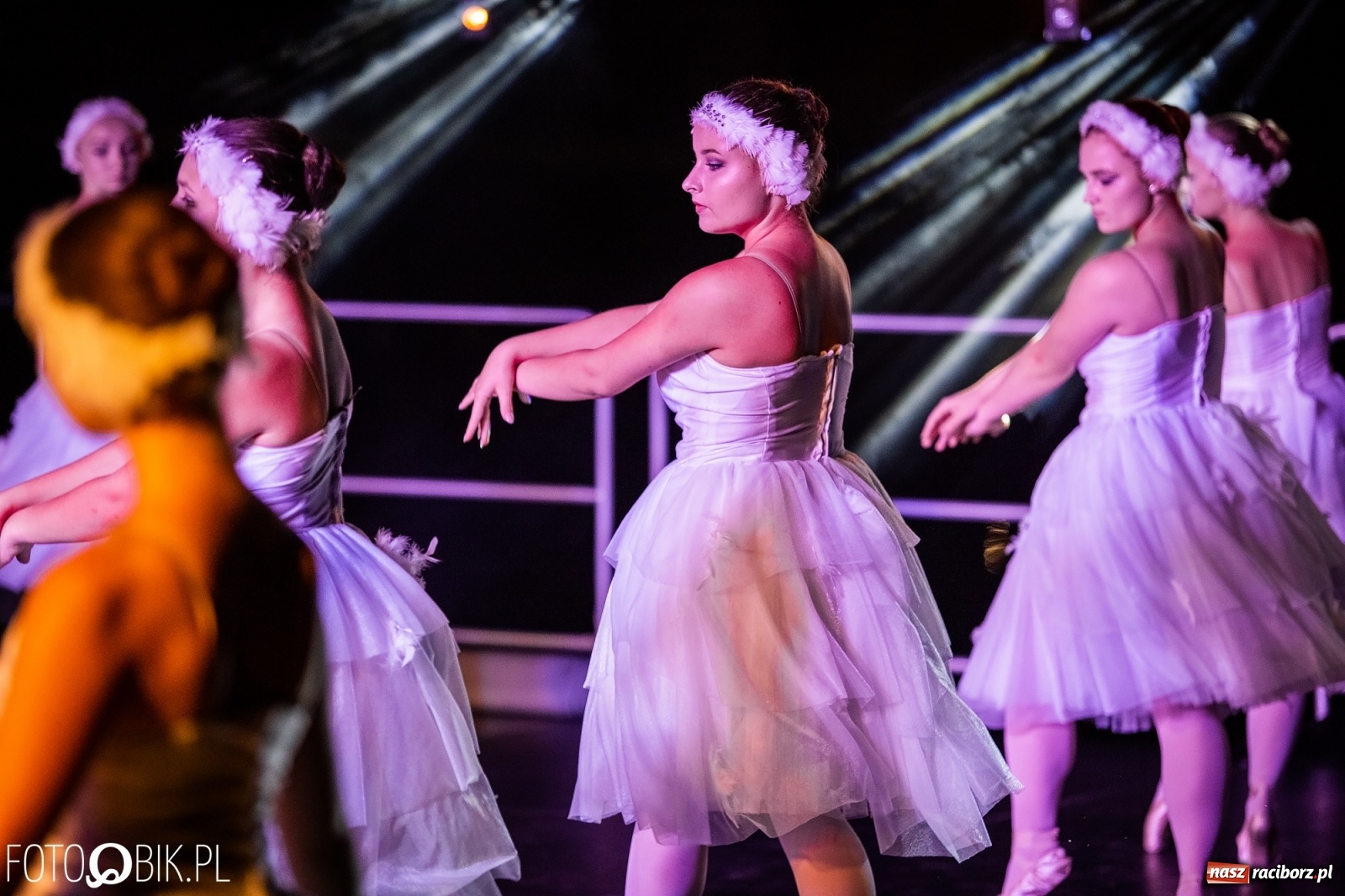 Zdjęcie w galerii na portalu naszraciborz.pl: Zaklęty łabędź zdobył Racibórz [FOTO]  wiadomości z regionu