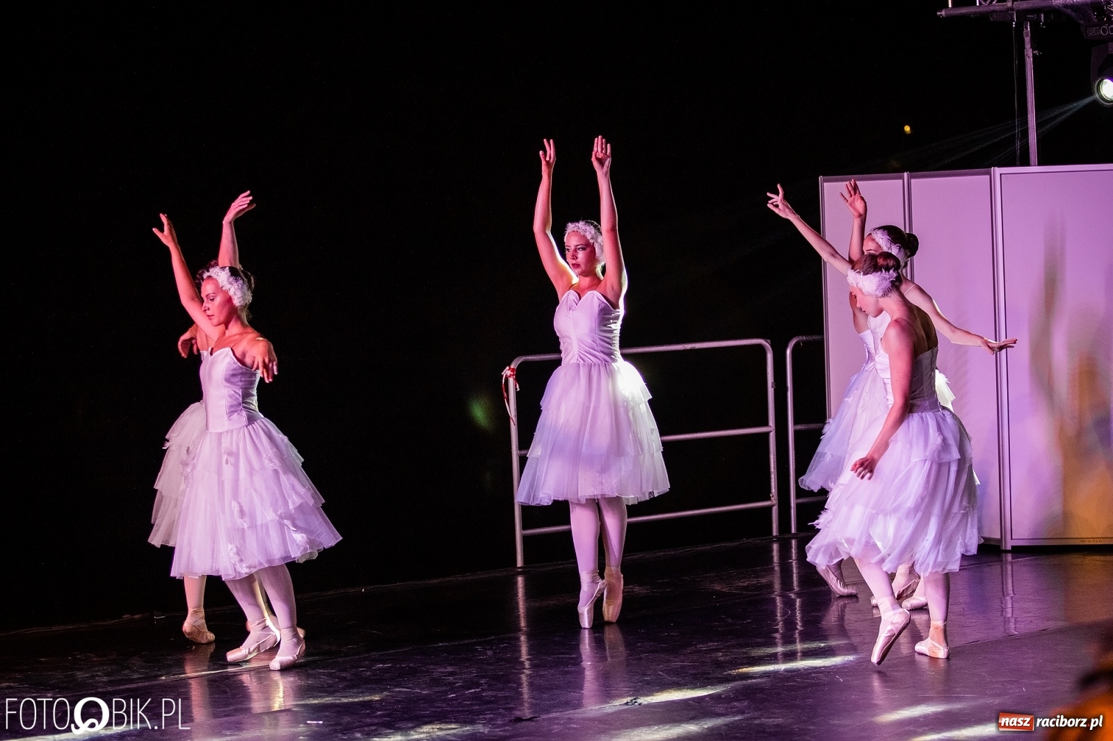 Zdjęcie w galerii na portalu naszraciborz.pl: Zaklęty łabędź zdobył Racibórz [FOTO]  wiadomości z regionu