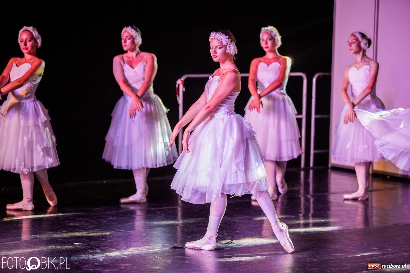 Zdjęcie w galerii na portalu naszraciborz.pl: Zaklęty łabędź zdobył Racibórz [FOTO]  wiadomości z regionu