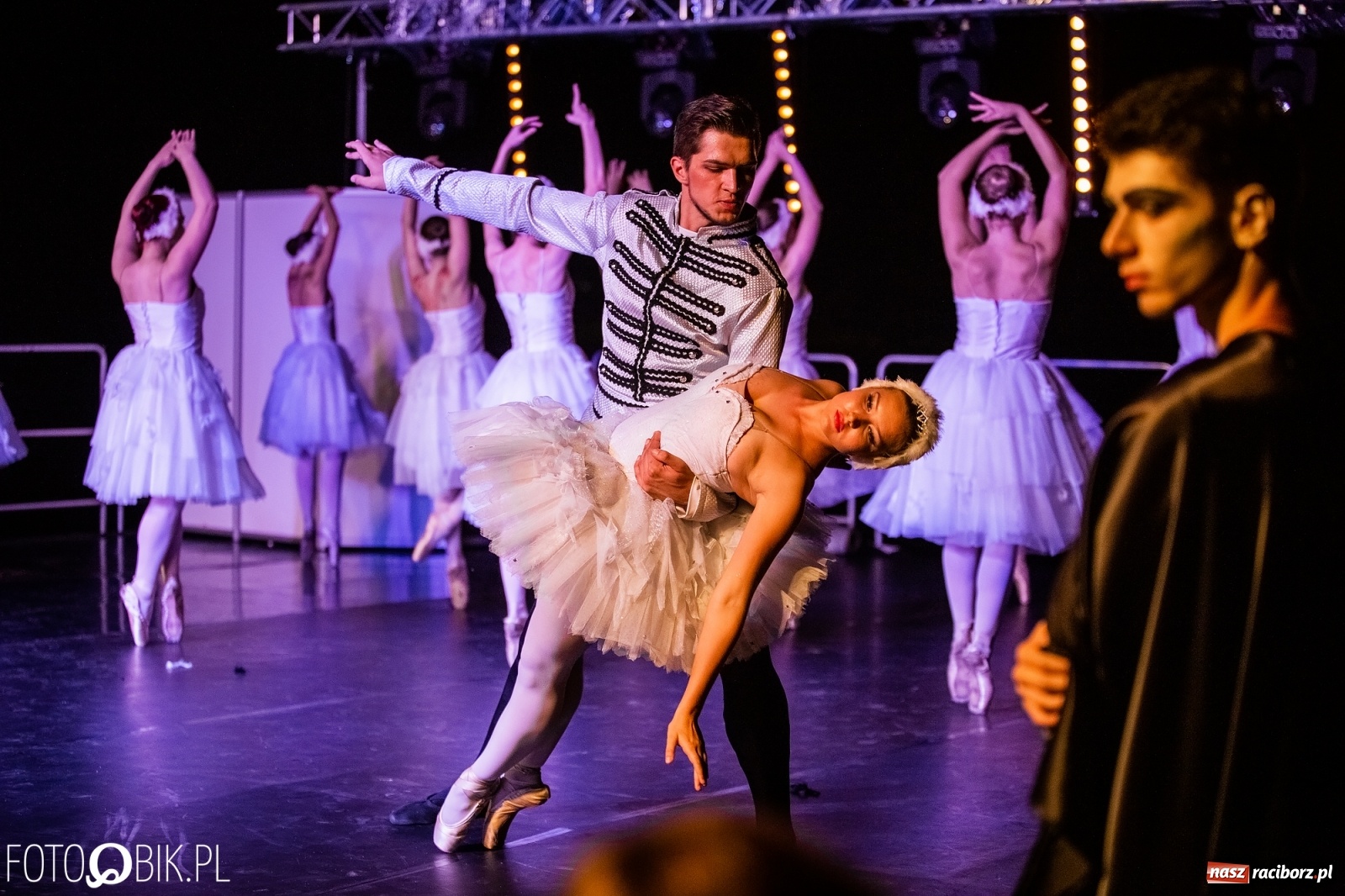 Zdjęcie w galerii na portalu naszraciborz.pl: Zaklęty łabędź zdobył Racibórz [FOTO]  wiadomości z regionu