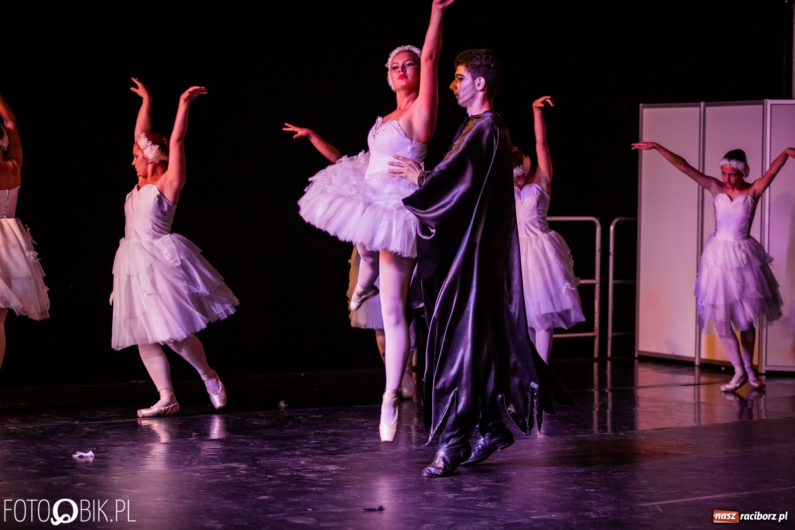 Zdjęcie w galerii na portalu naszraciborz.pl: Zaklęty łabędź zdobył Racibórz [FOTO]  wiadomości z regionu