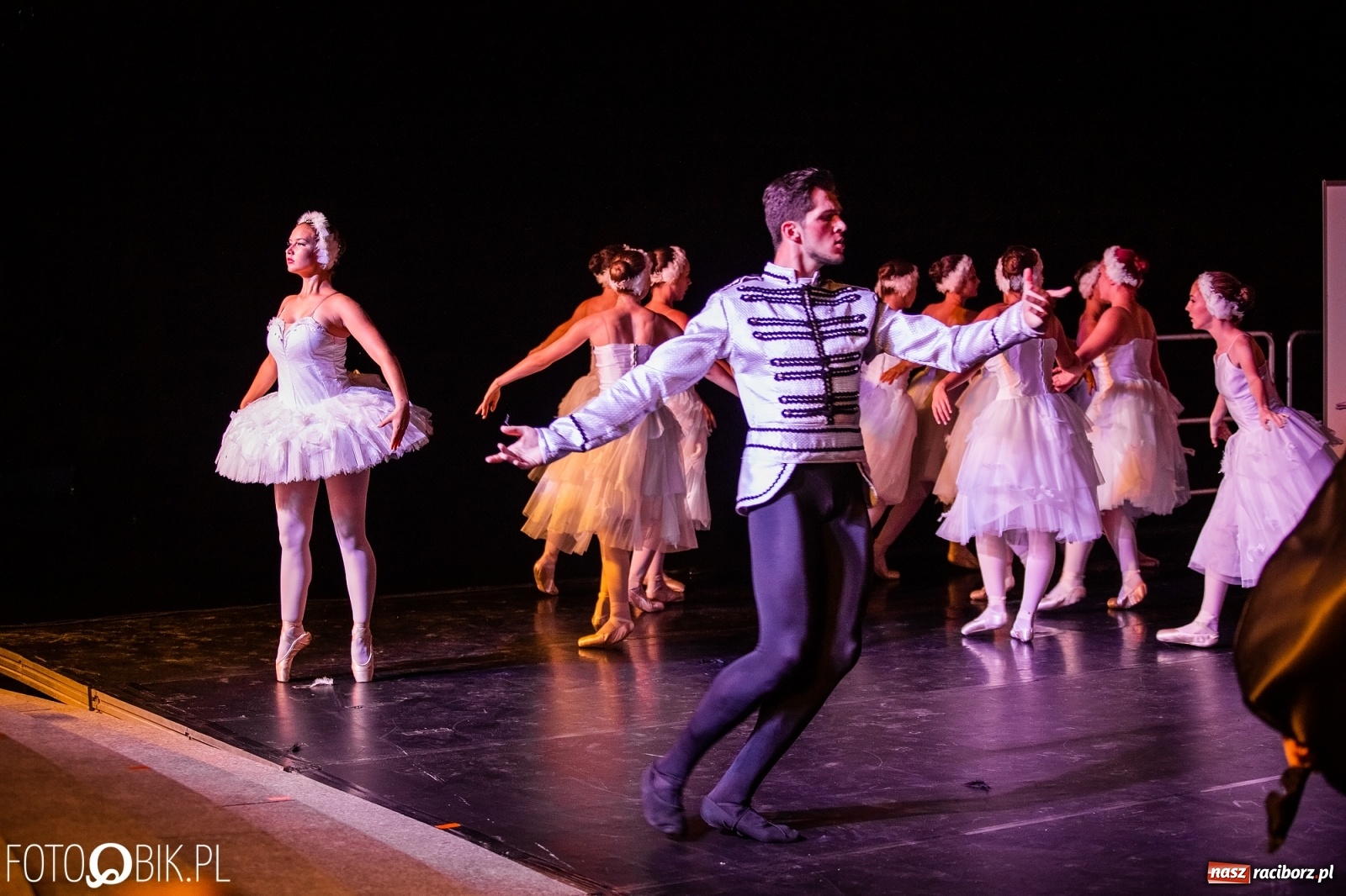 Zdjęcie w galerii na portalu naszraciborz.pl: Zaklęty łabędź zdobył Racibórz [FOTO]  wiadomości z regionu