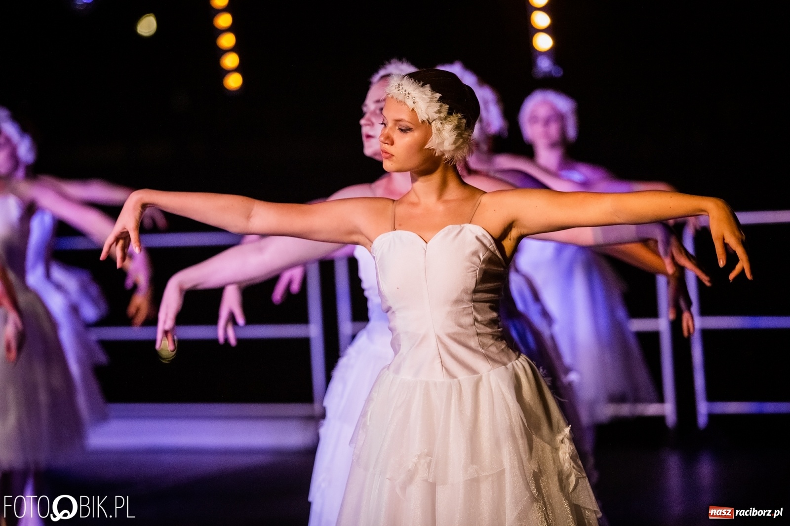 Zdjęcie w galerii na portalu naszraciborz.pl: Zaklęty łabędź zdobył Racibórz [FOTO]  wiadomości z regionu